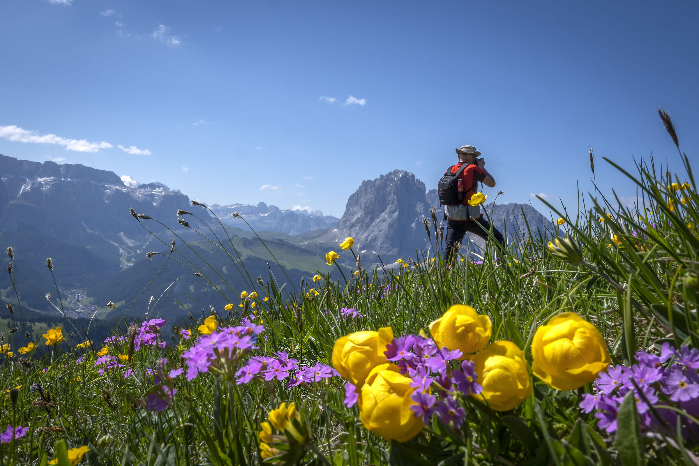 Trentino