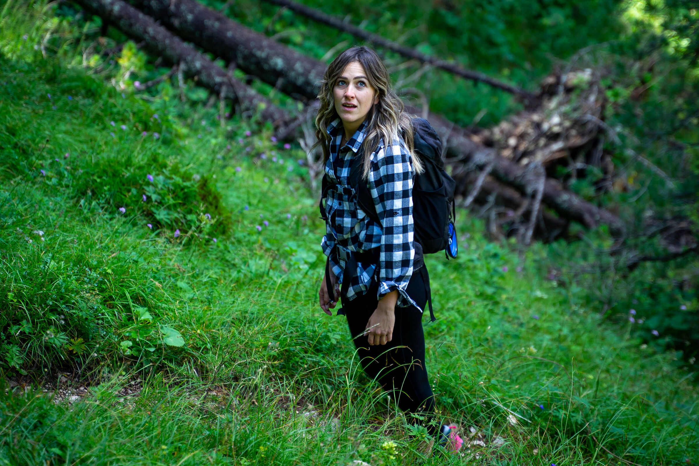 Into the wild