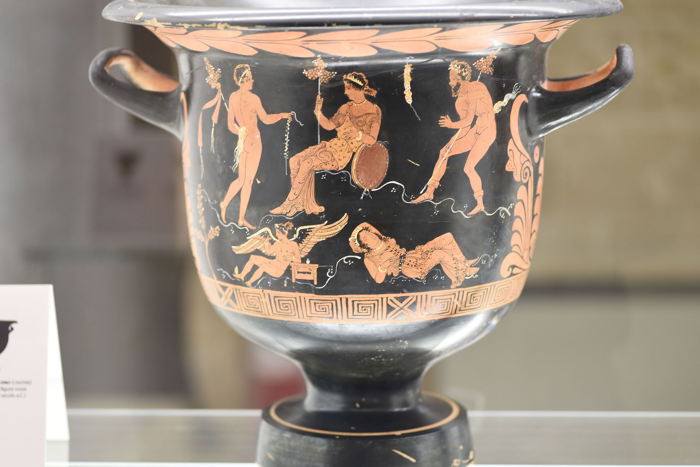 Tokina Atx-i 100 F. 2.8 Macro- Nikon D 750