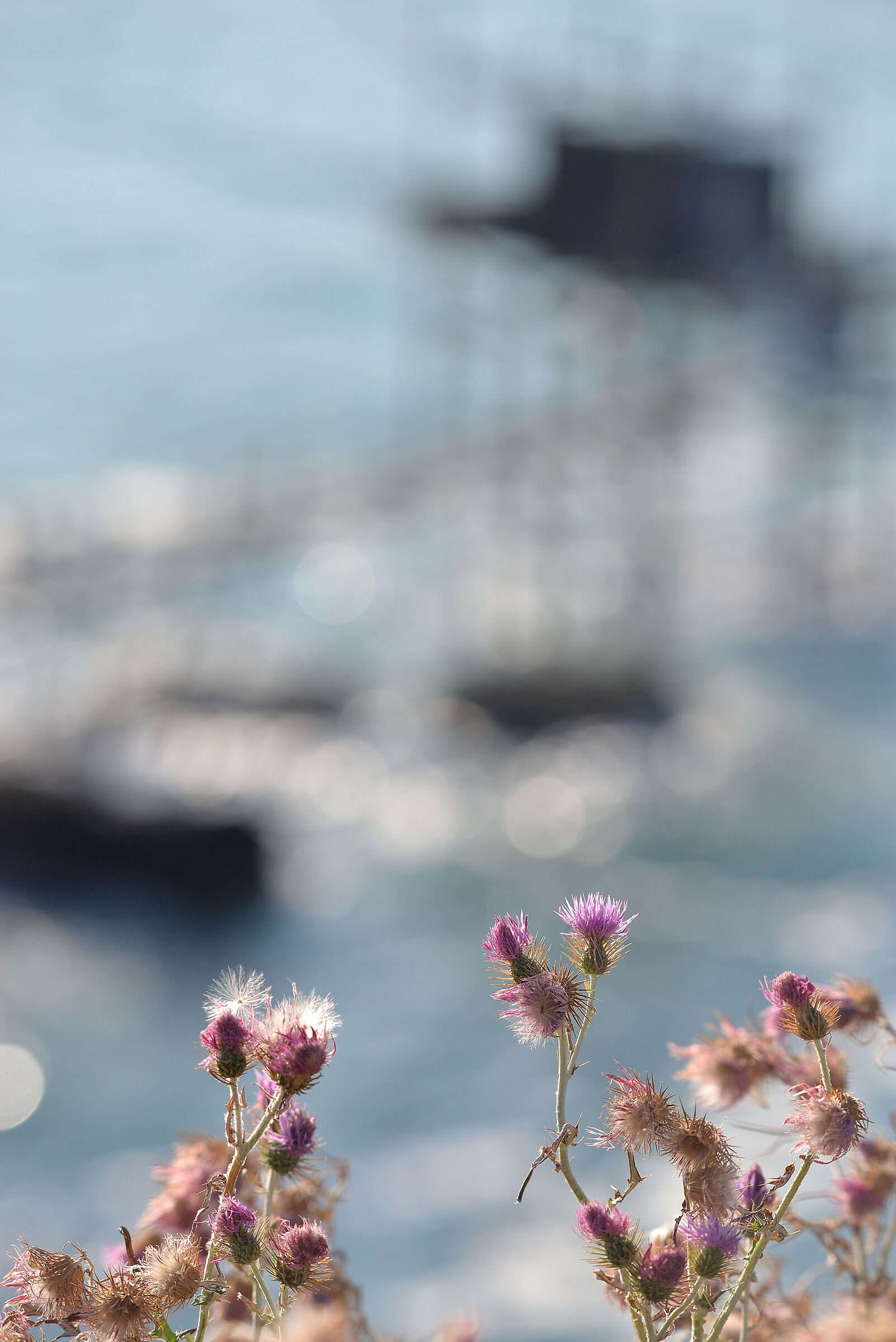 Mirage Trabocco