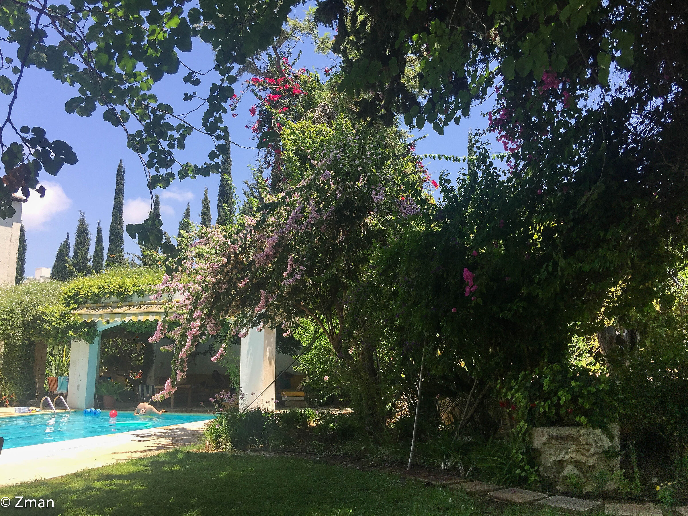 Una vista sul giardino