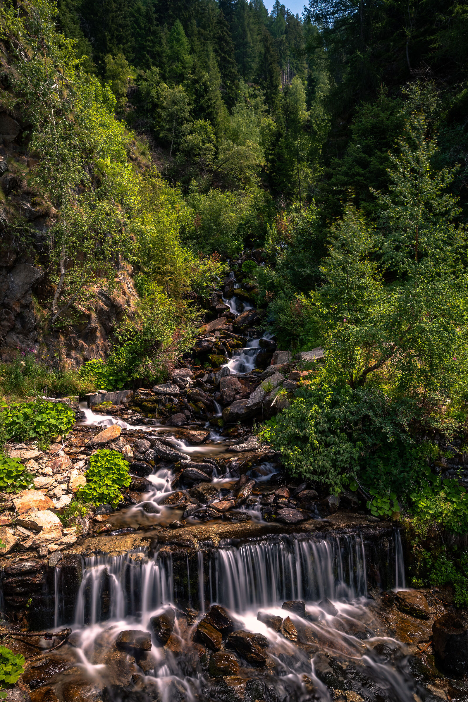 Wandering in Sempione