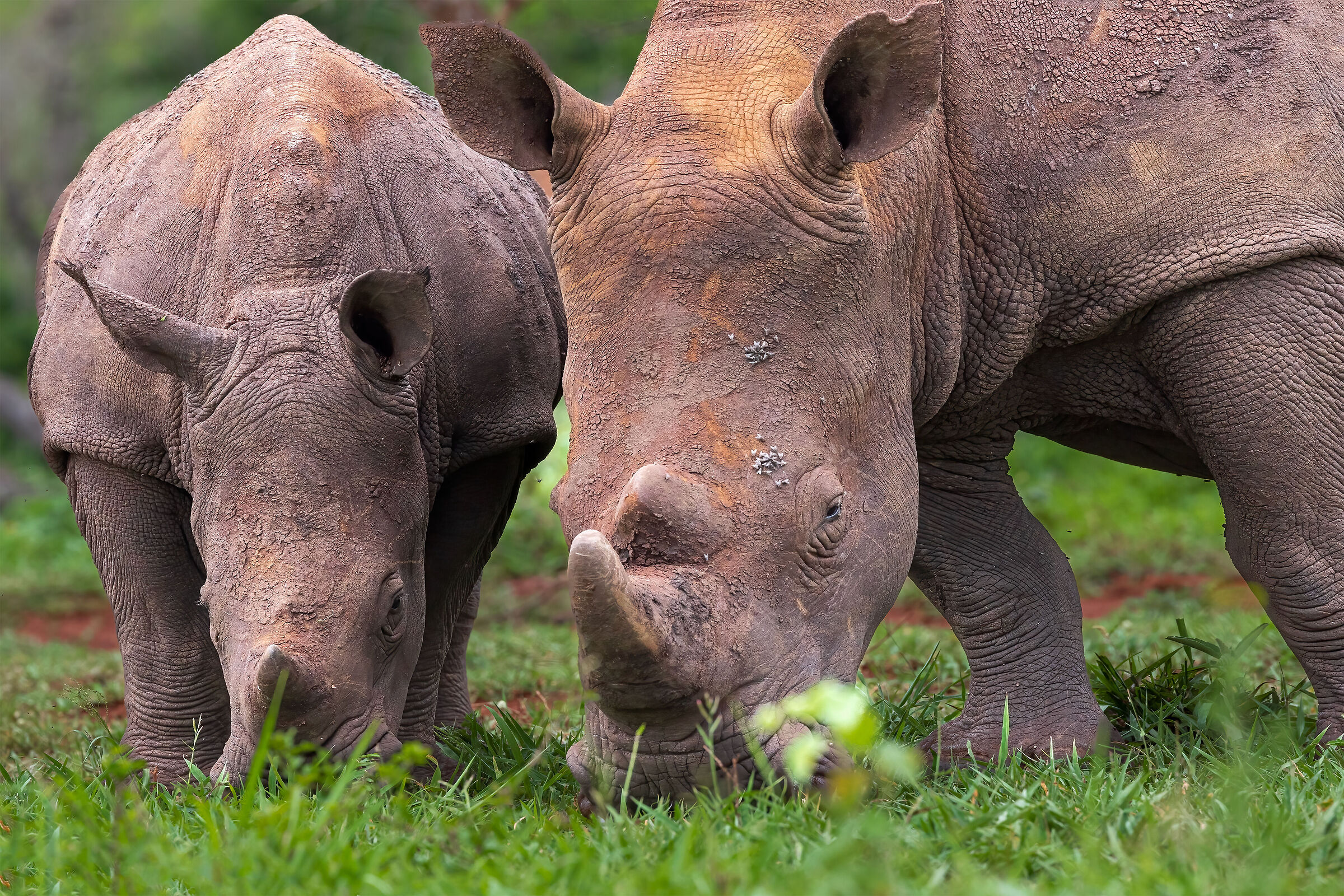 ... having lunch togheter