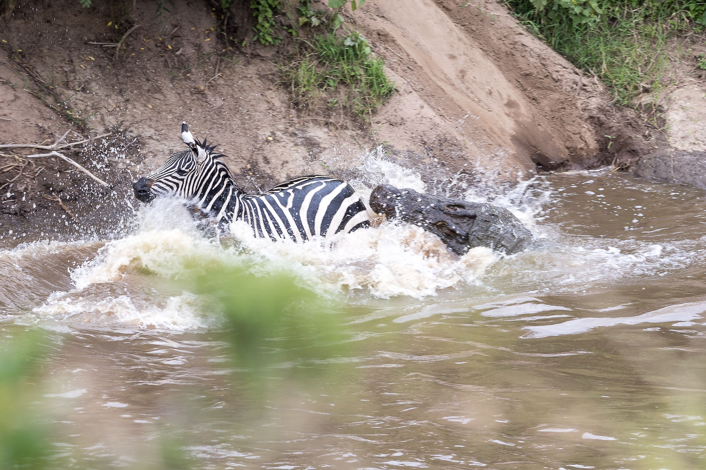 Vita e morte al Masai Mara, ore 16:06 e 58 secondi