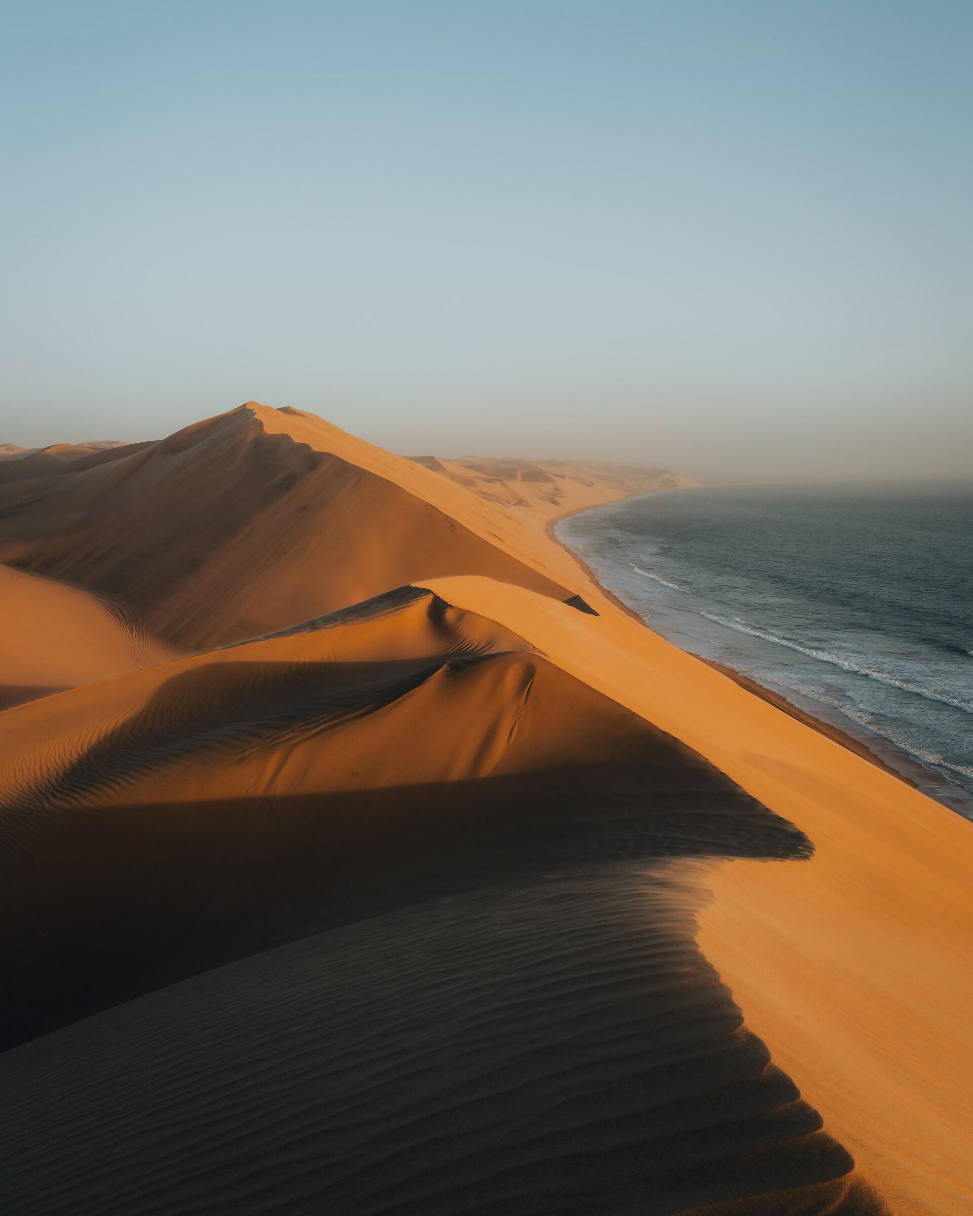 Dune