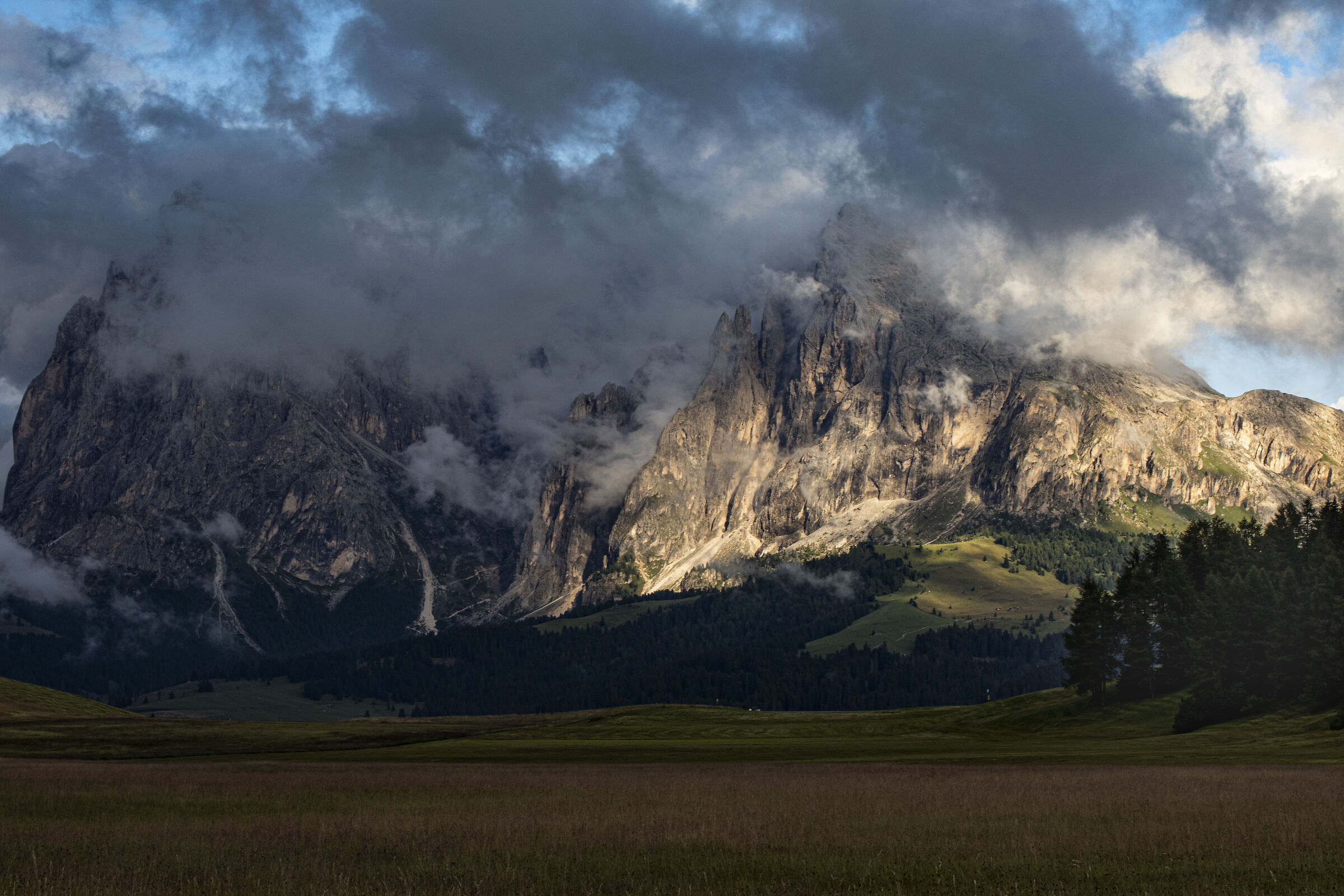 Alpe Siusi 1