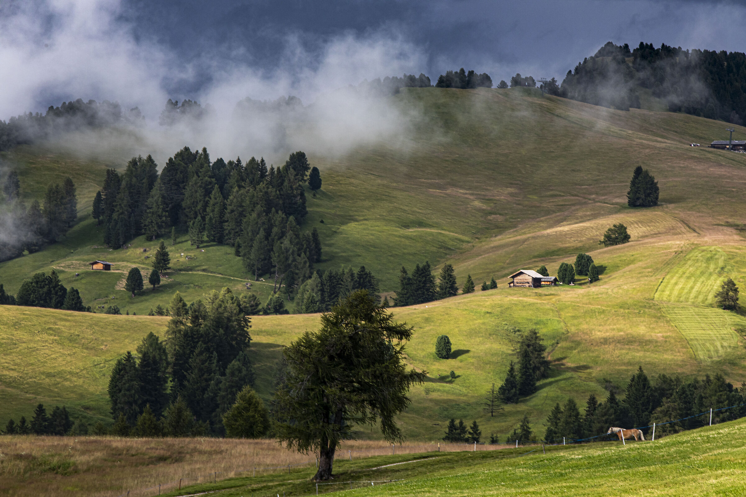 Alpe Siusi 2