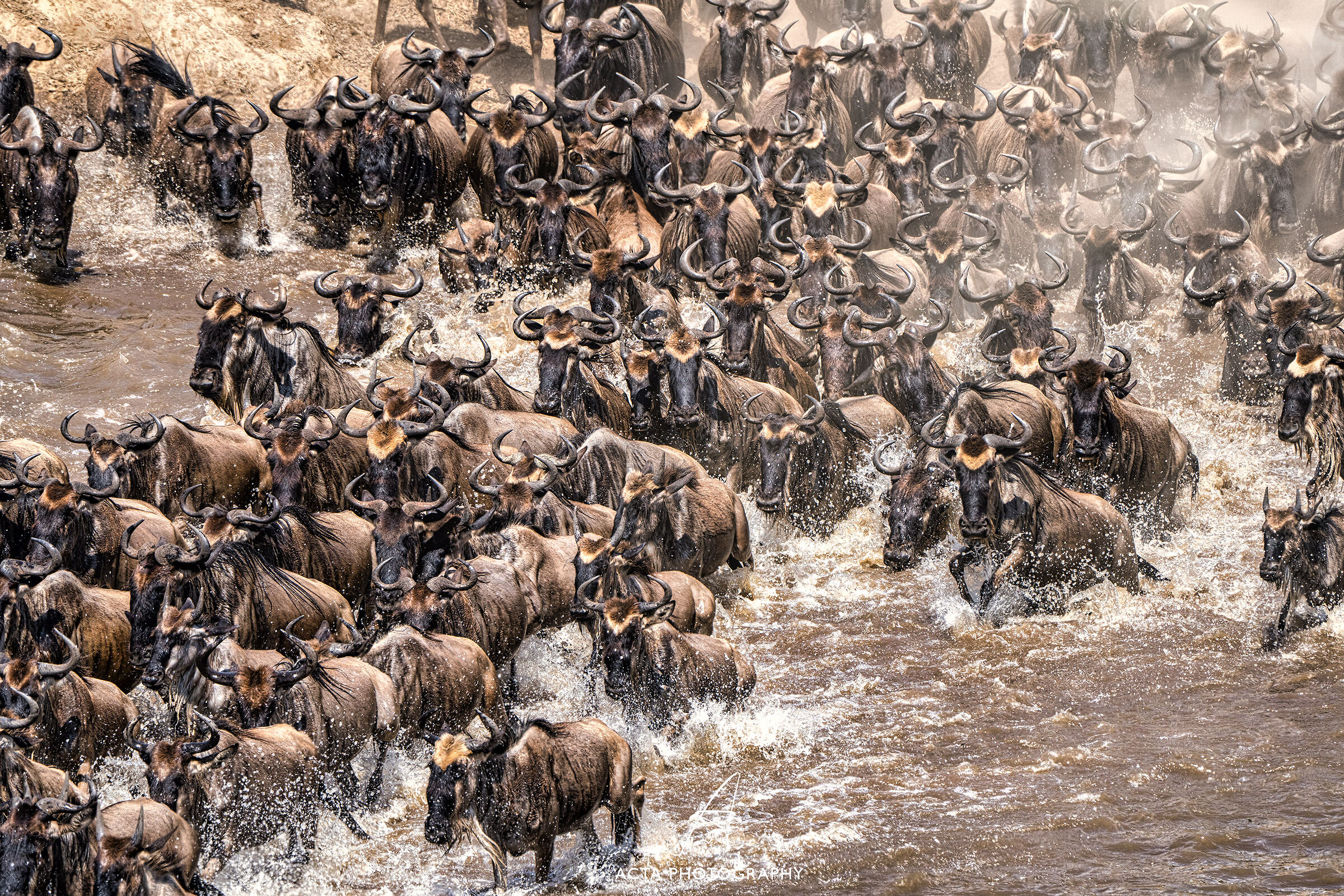 The Great Migration