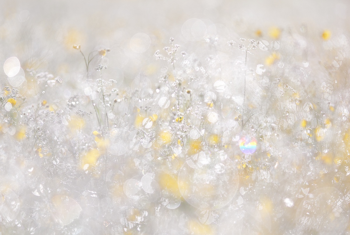 dove nascono gli arcobaleni