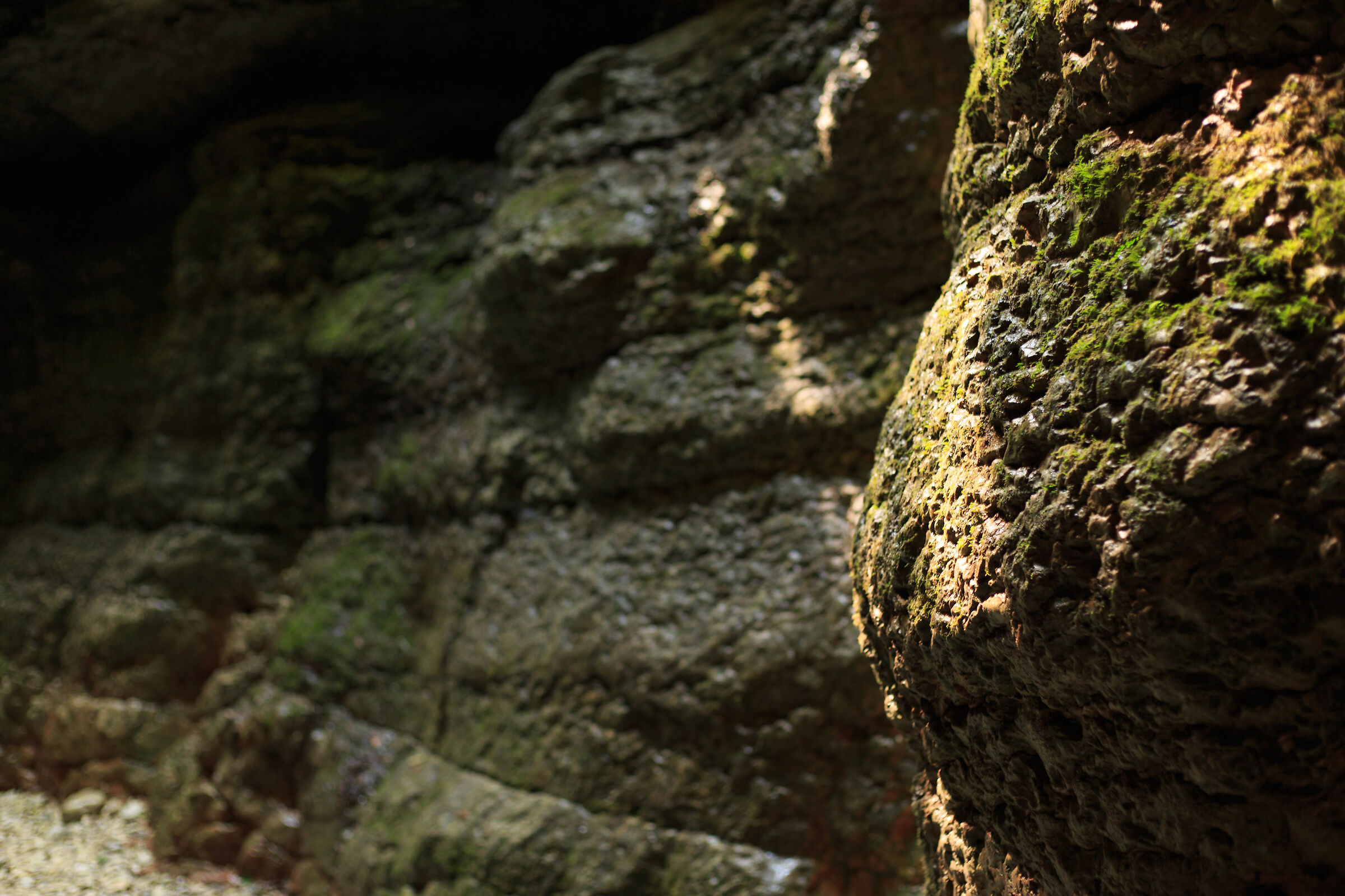 Madonna of the "Buso"