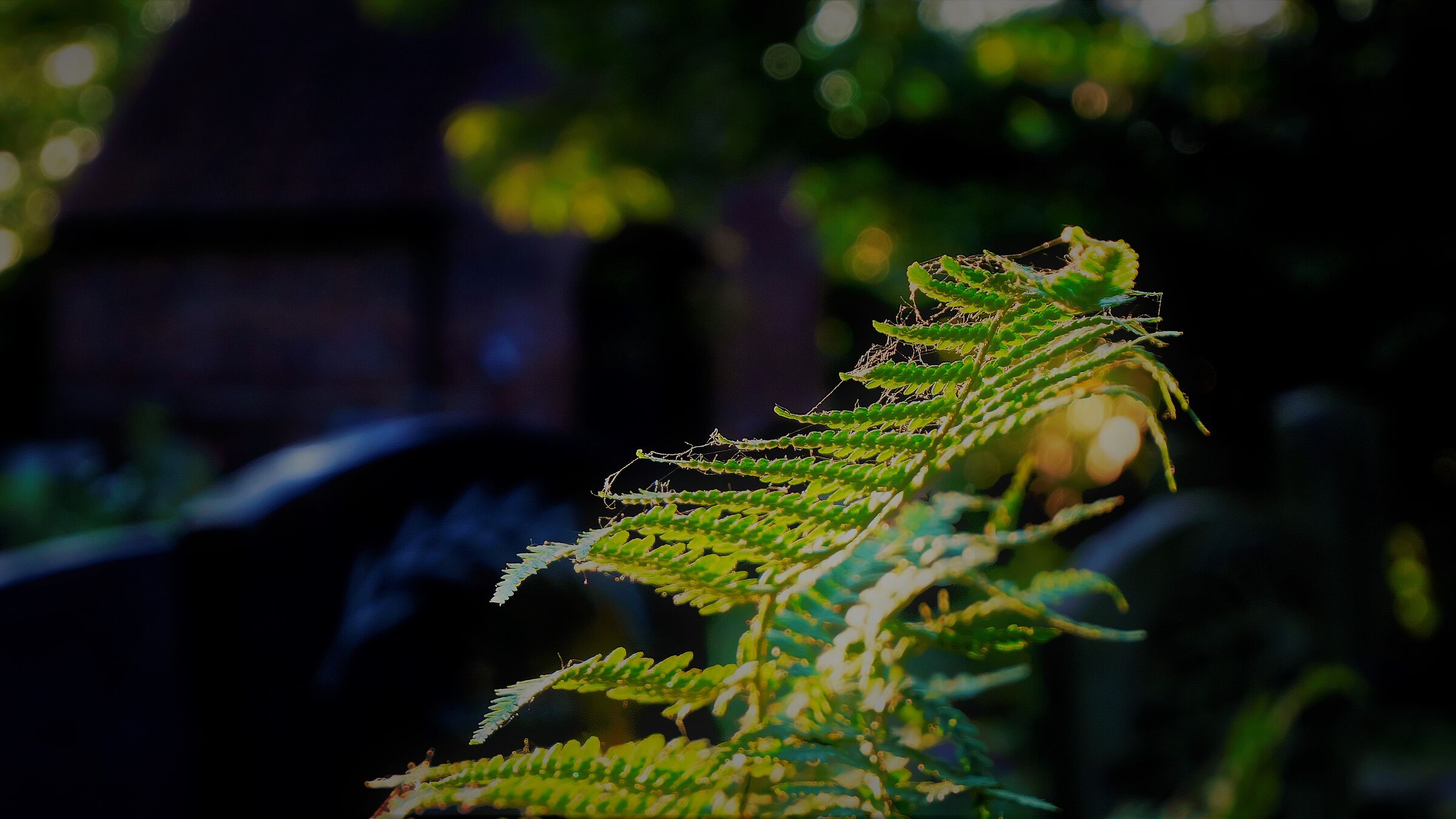 Catturare un bokeh a tarda notte sul cimitero