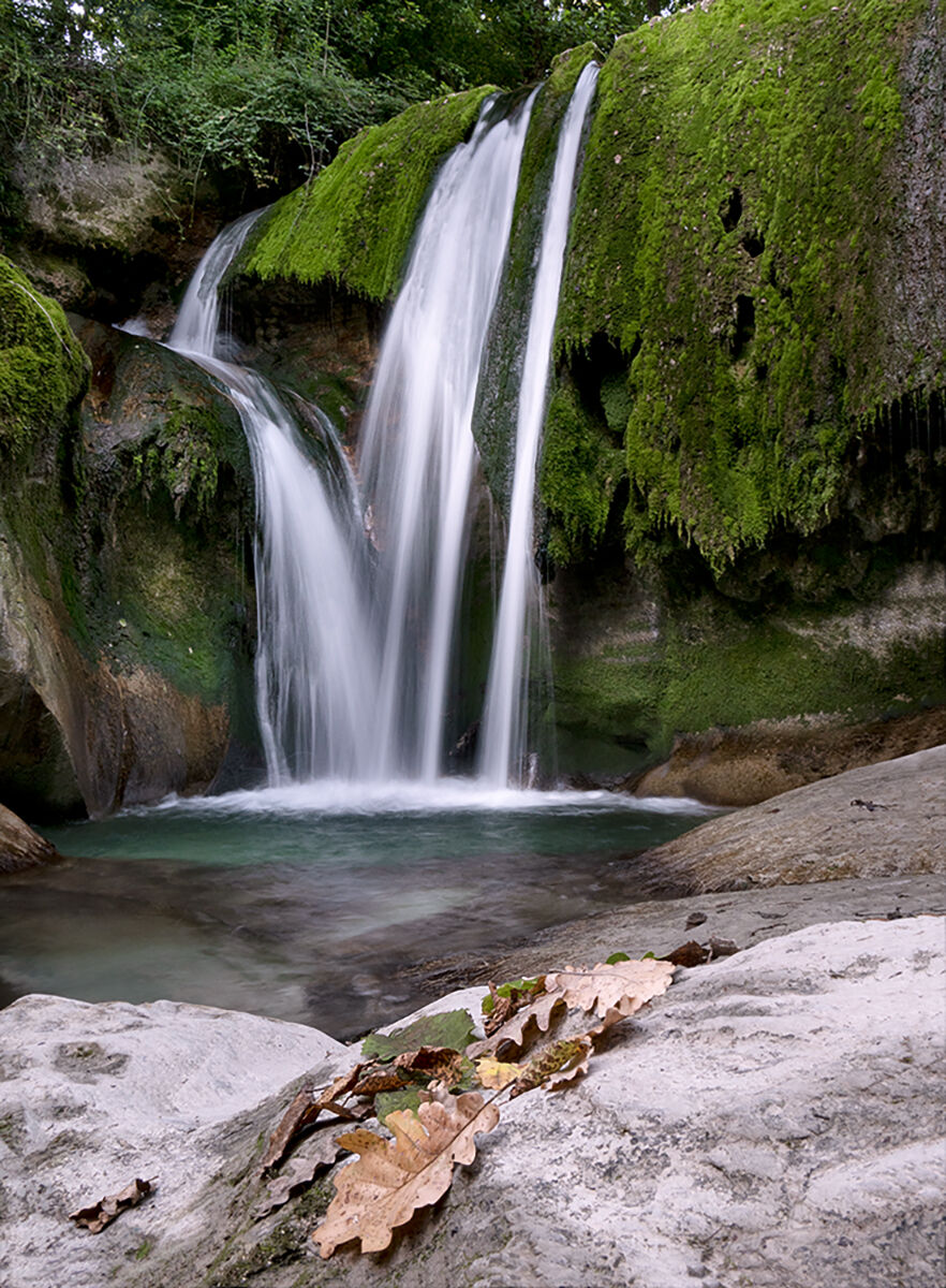 In cerca di refrigerio...