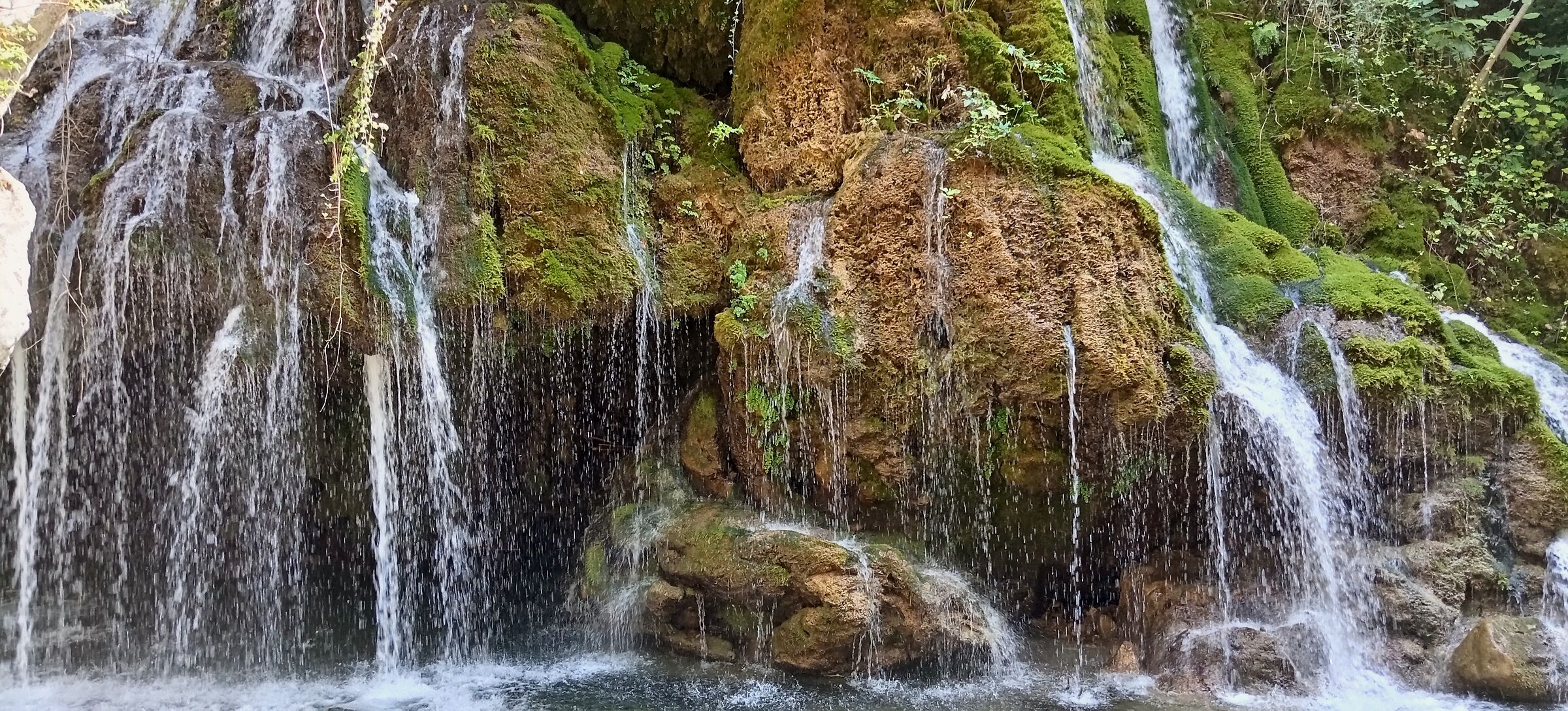 I capelli dì Venere