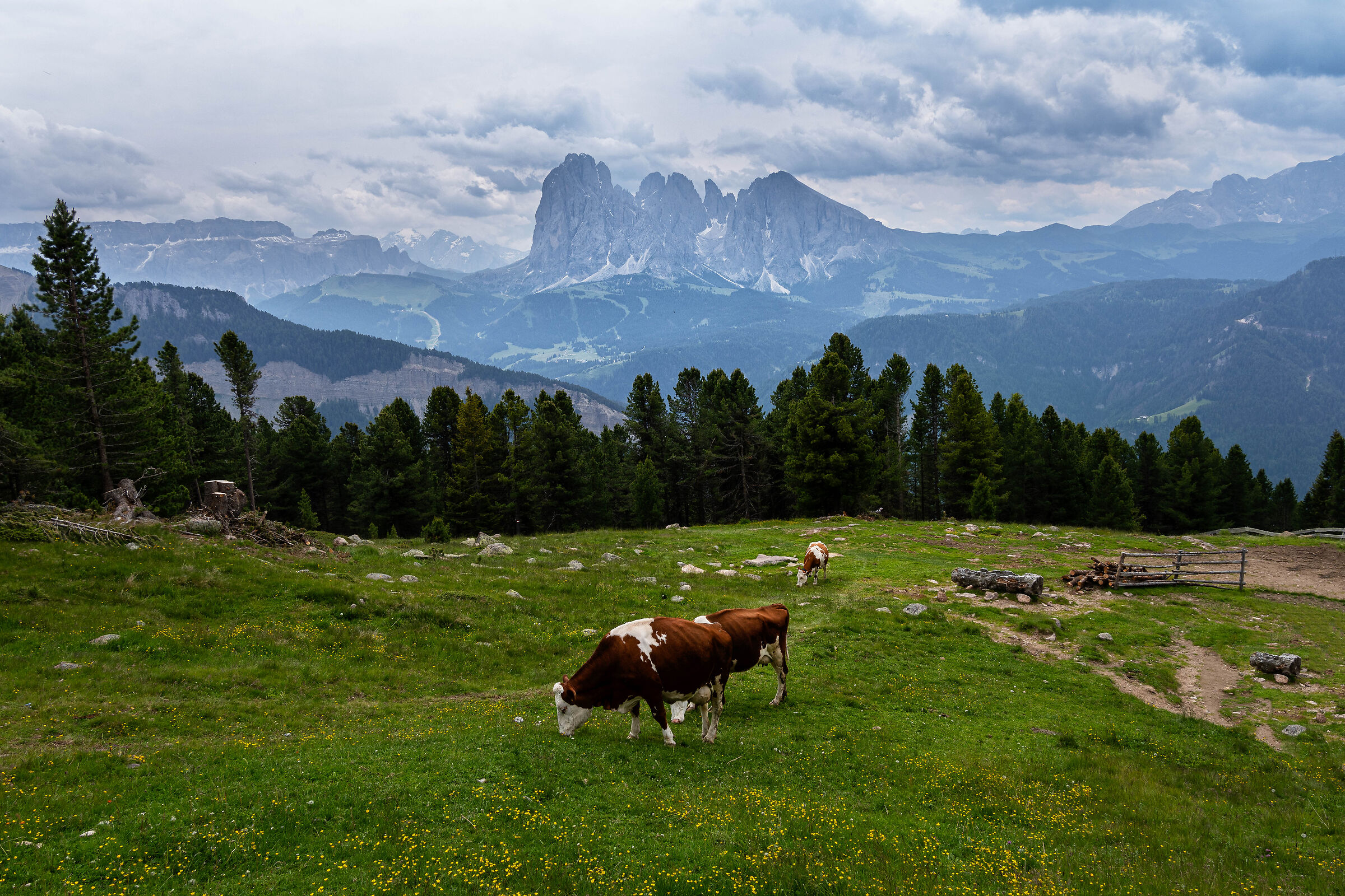 Alto Adige