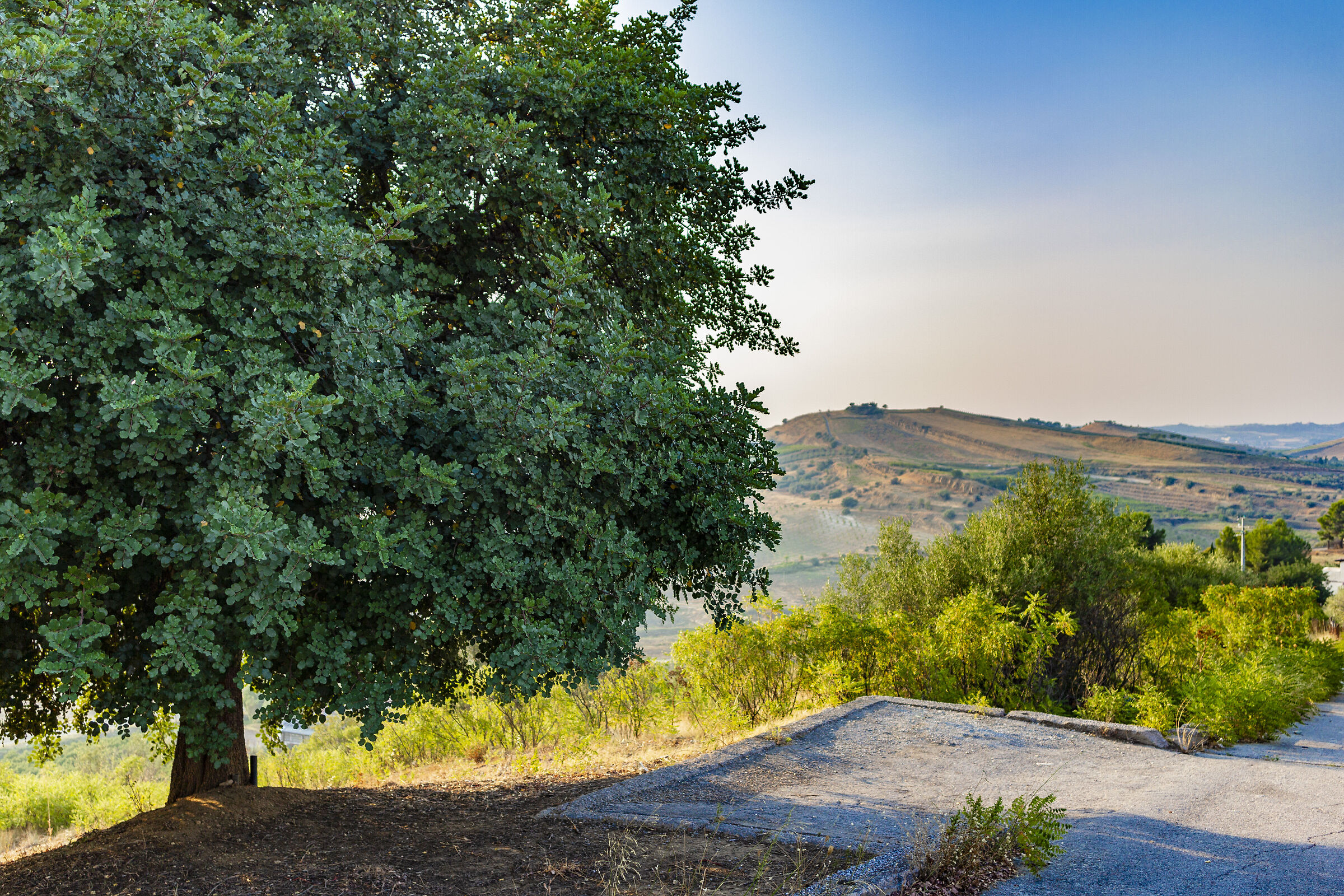 Dipingendo la natura