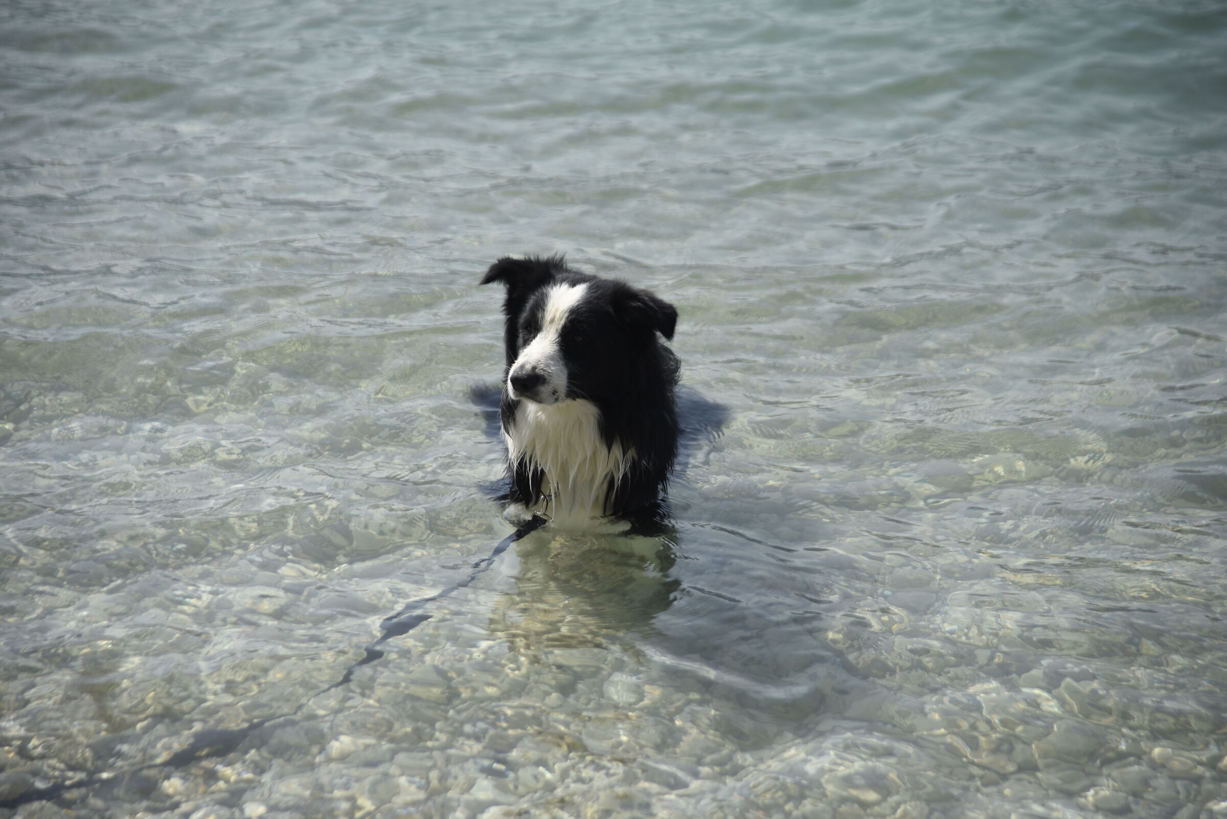 Malcesine spiaggetta