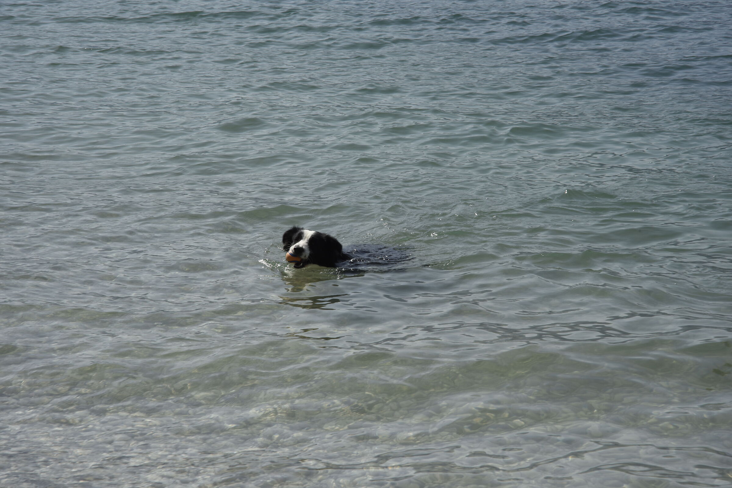 Malcesine spiaggetta