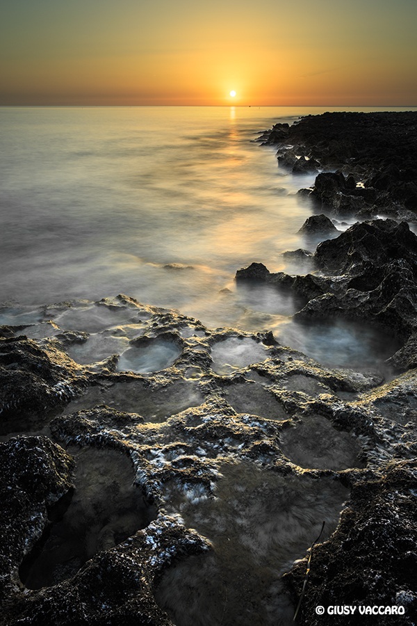 Waterfront Island of the Females