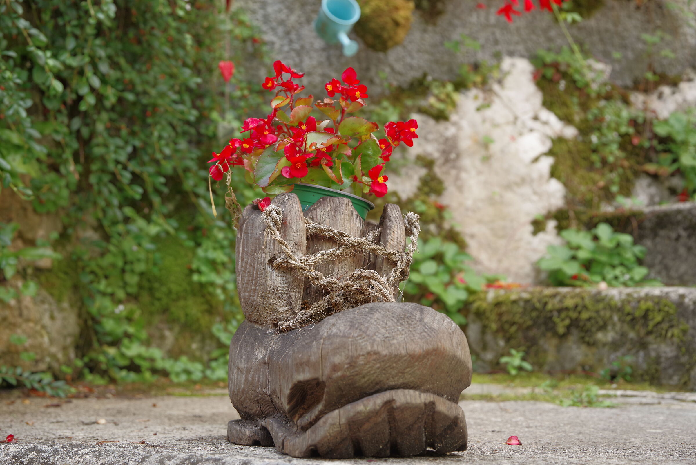 Hallstat - particolari in città