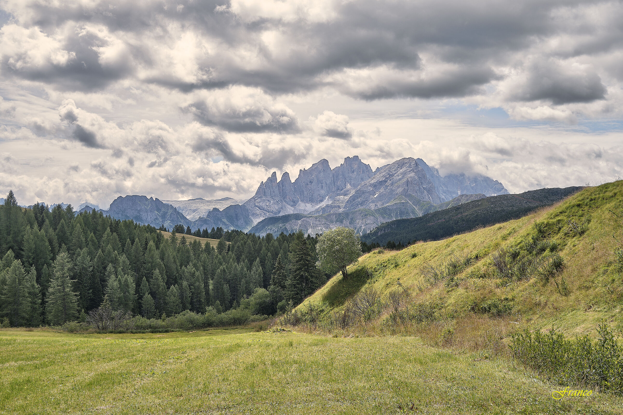The altarpieces of San Martino
