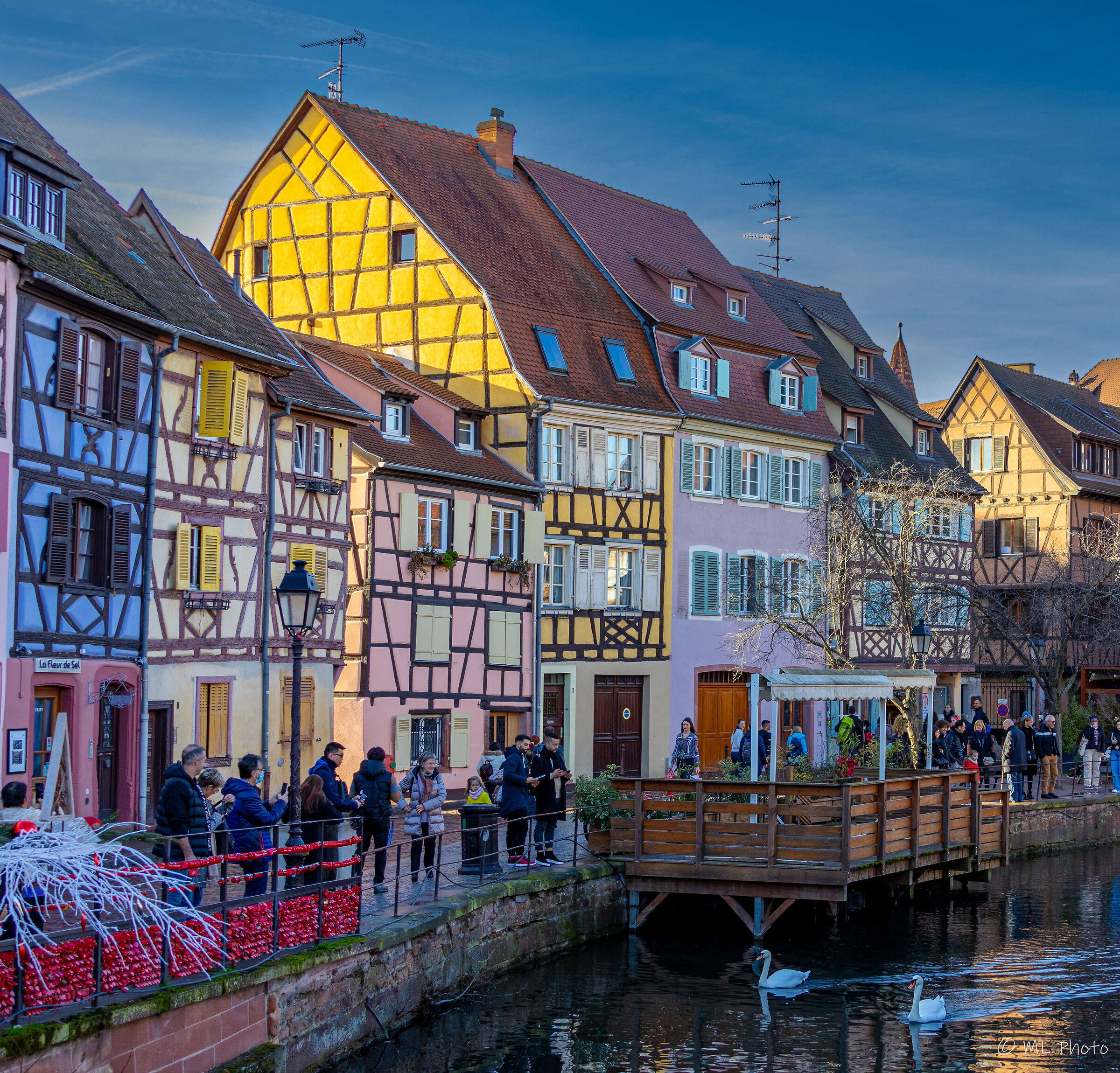 Colmar