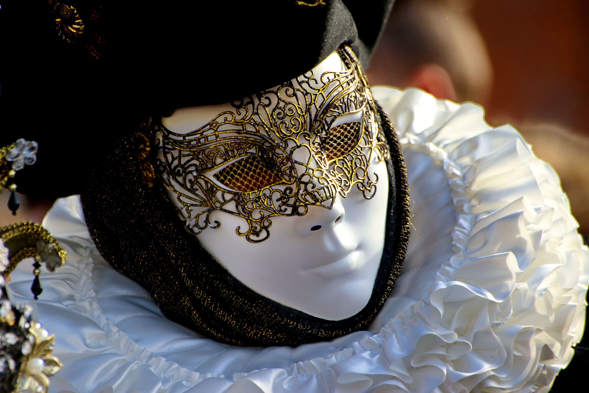 Venezia in maschera.