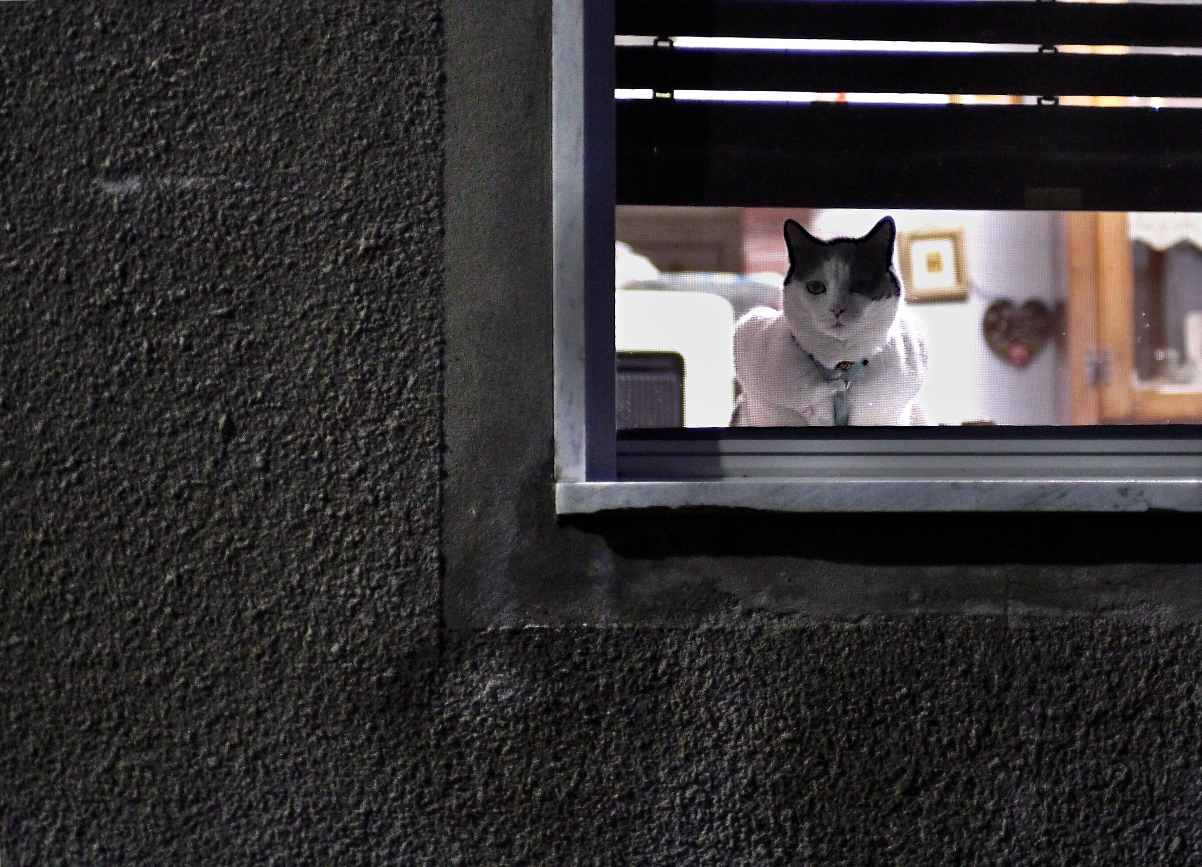 Night curiosity