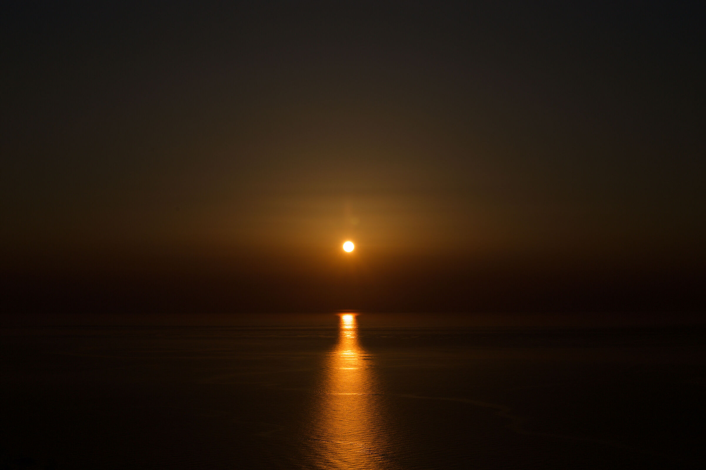 Il sole esce dal vaso