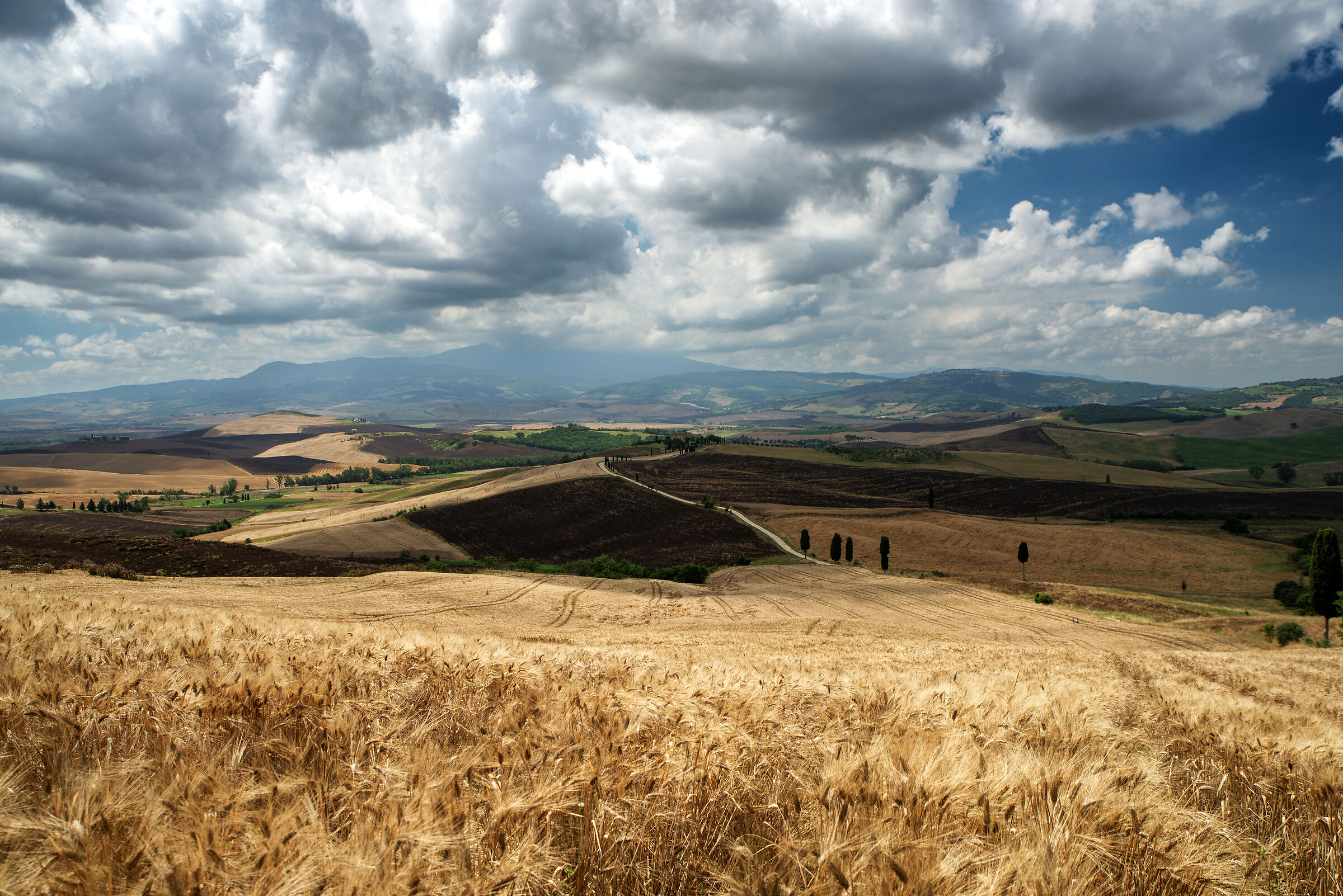 The Gladiator Somewhere Laggiu'