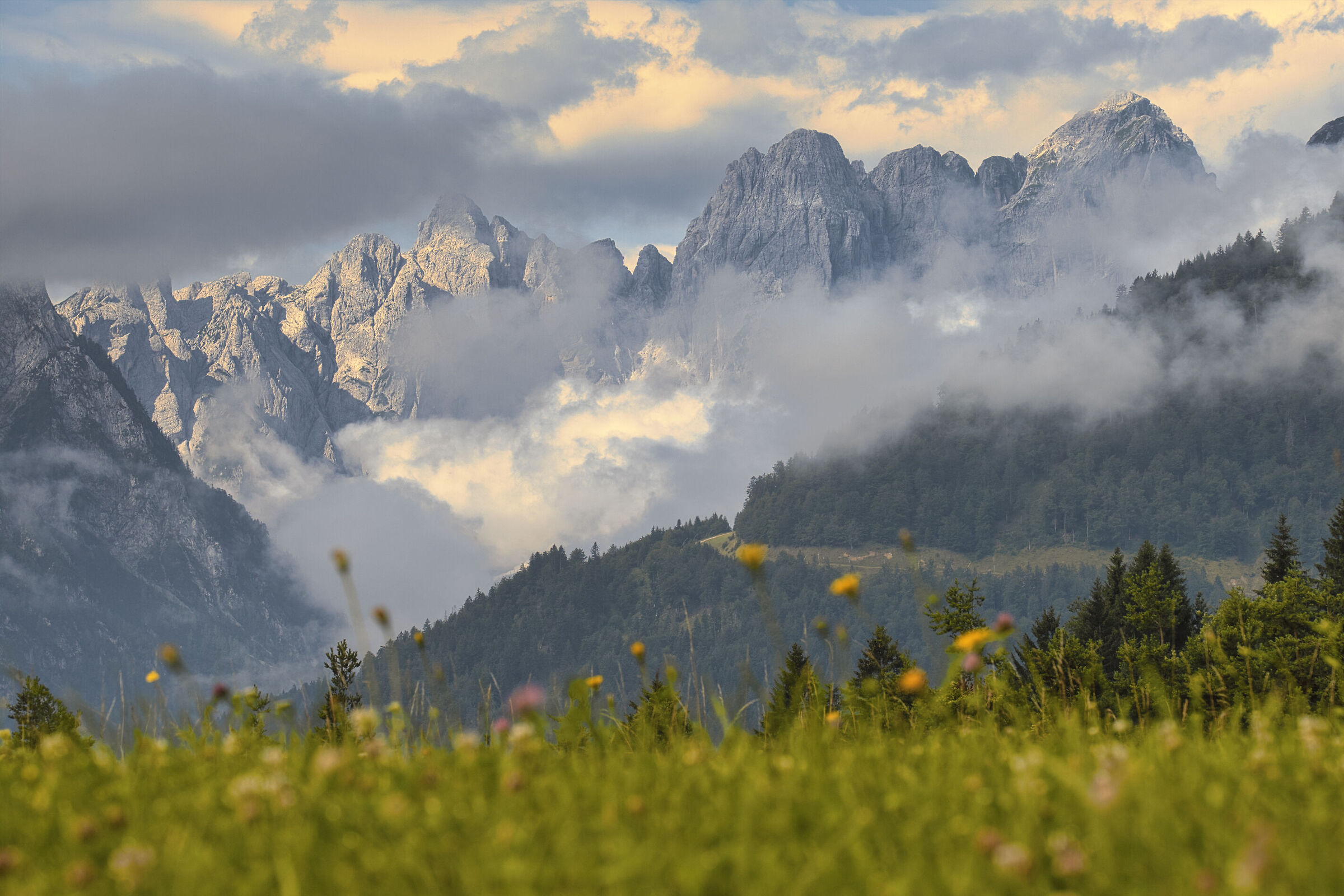 View from Coccau in the Julian Alps