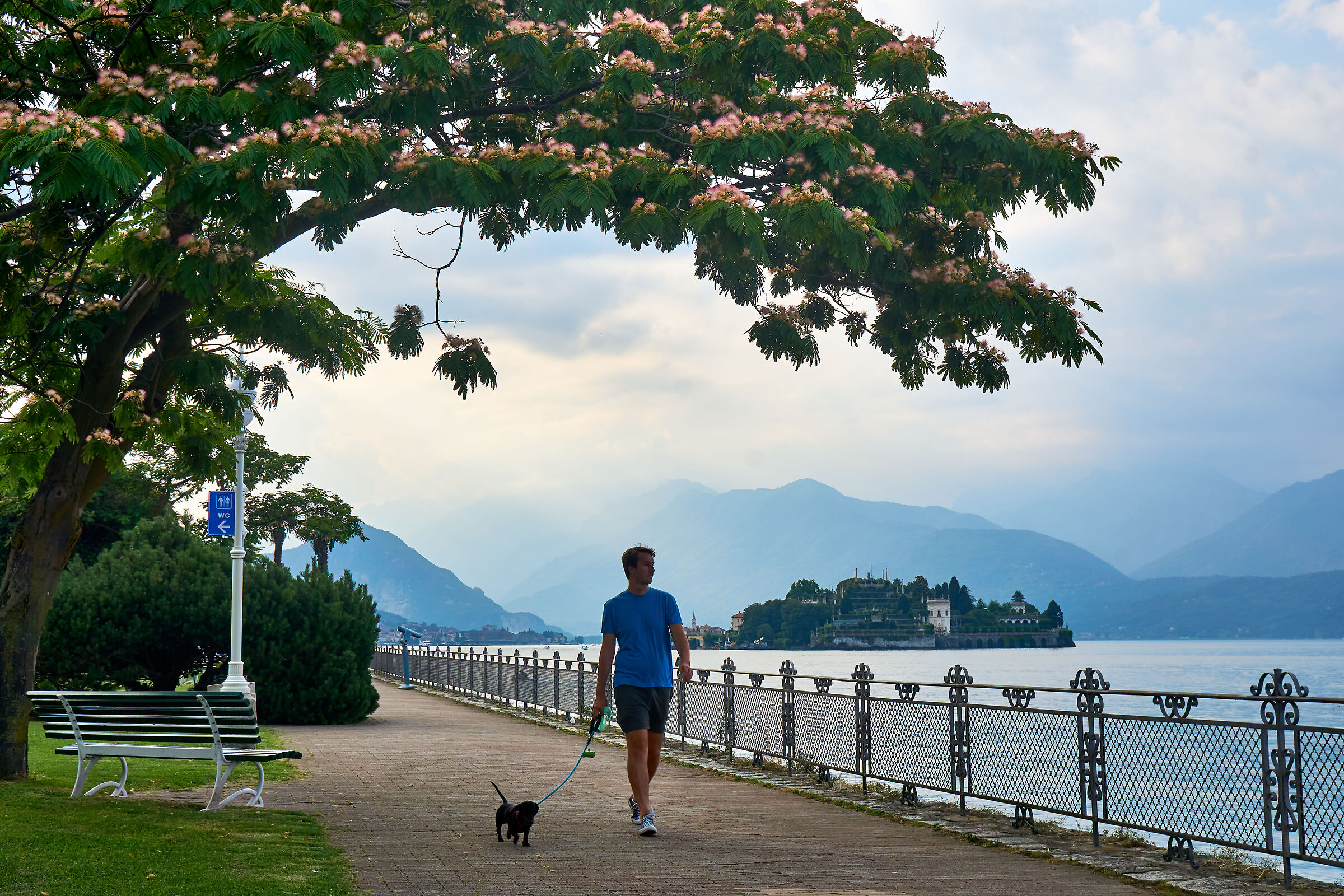 Promenade on Lake Maggiore