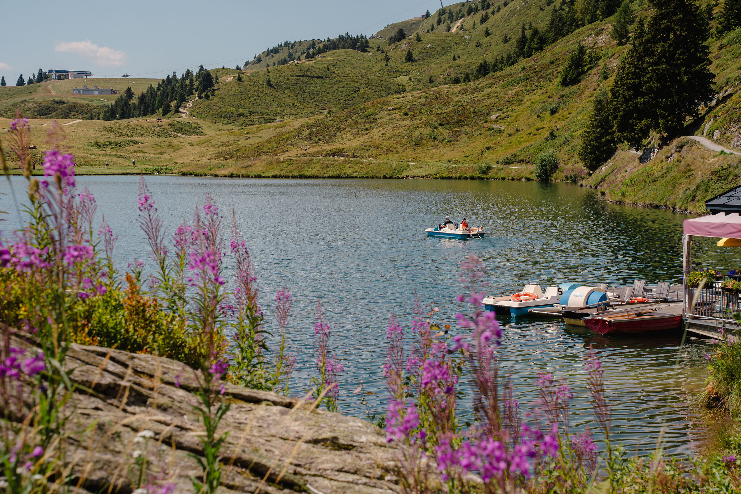 L'estate sul pedalò