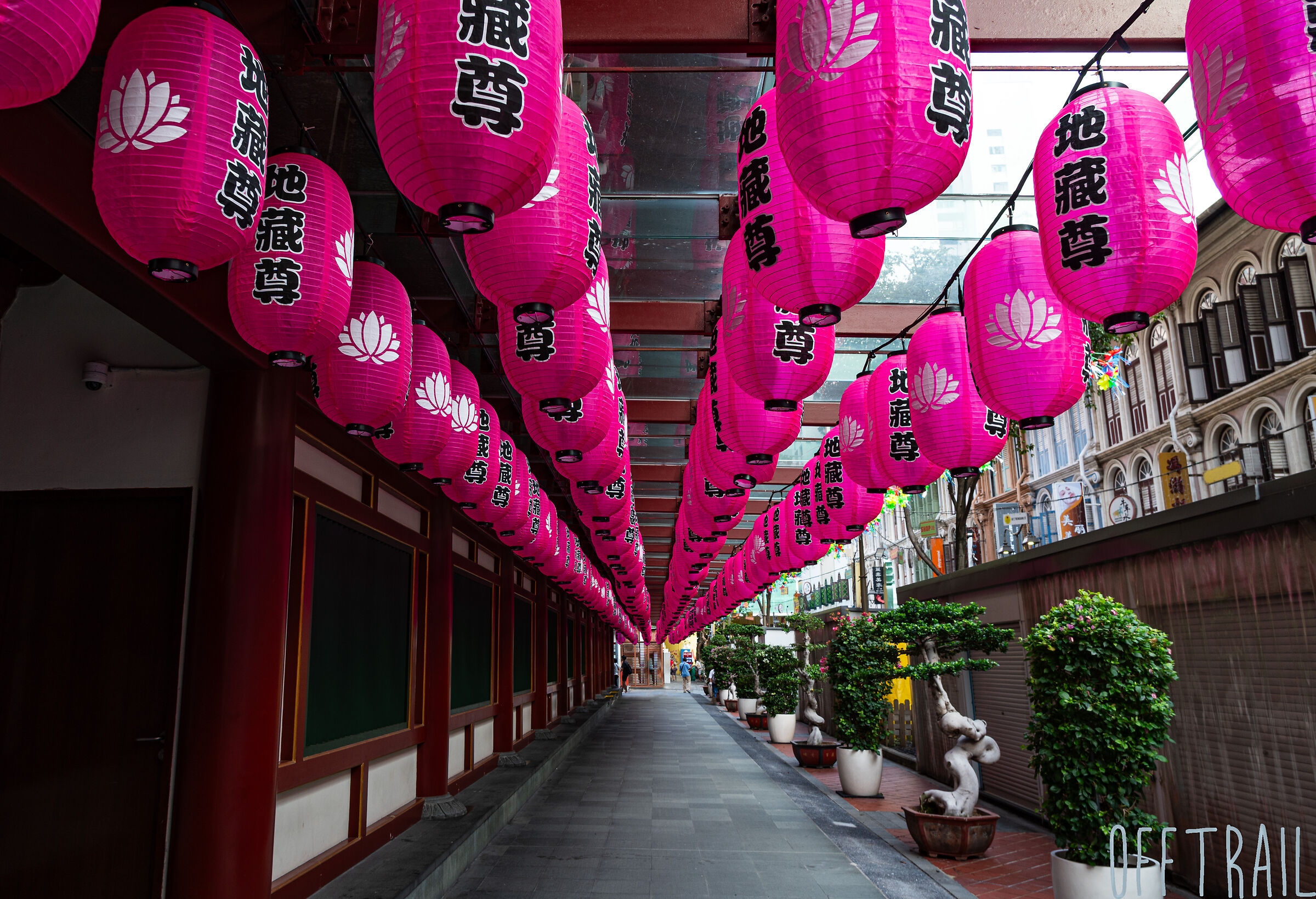 Buddha Tooth Temple