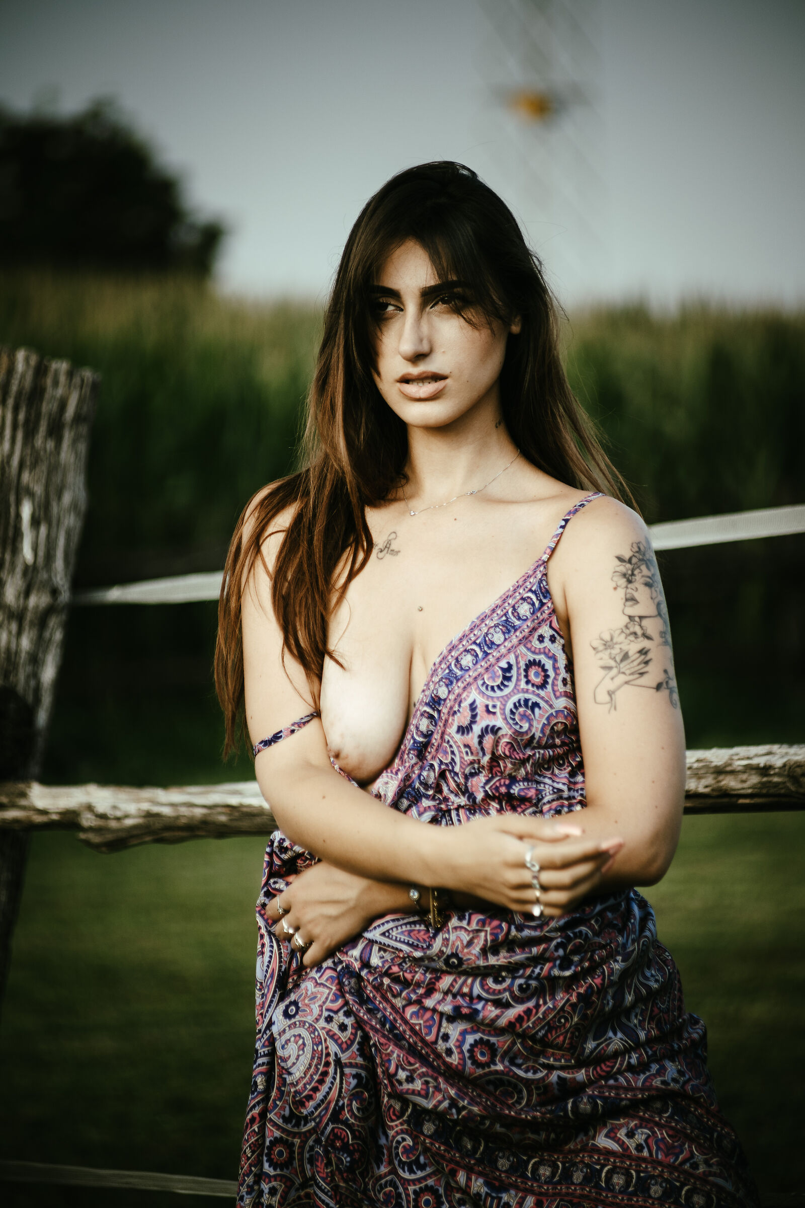 Timida