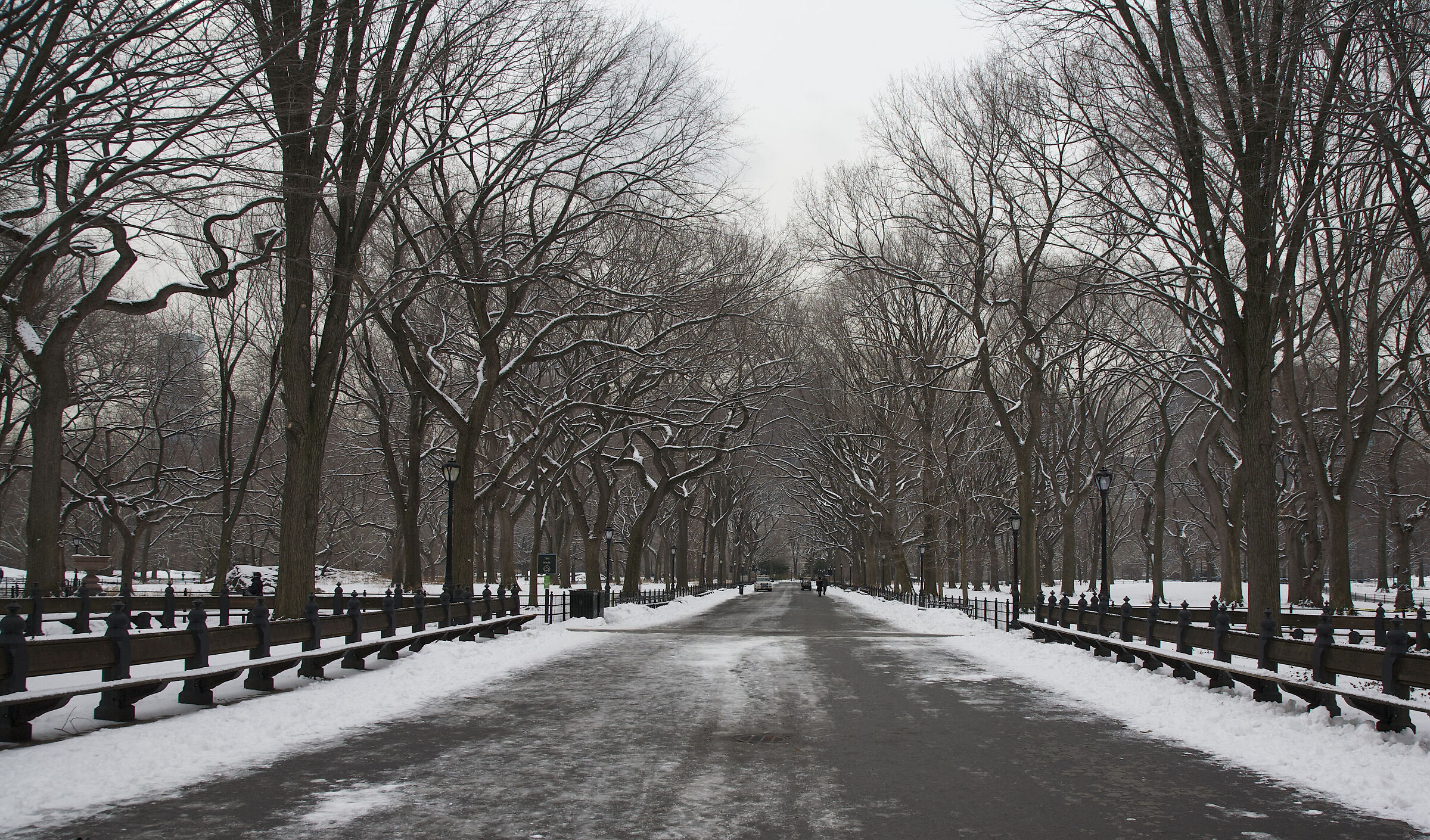 Untitled Photo