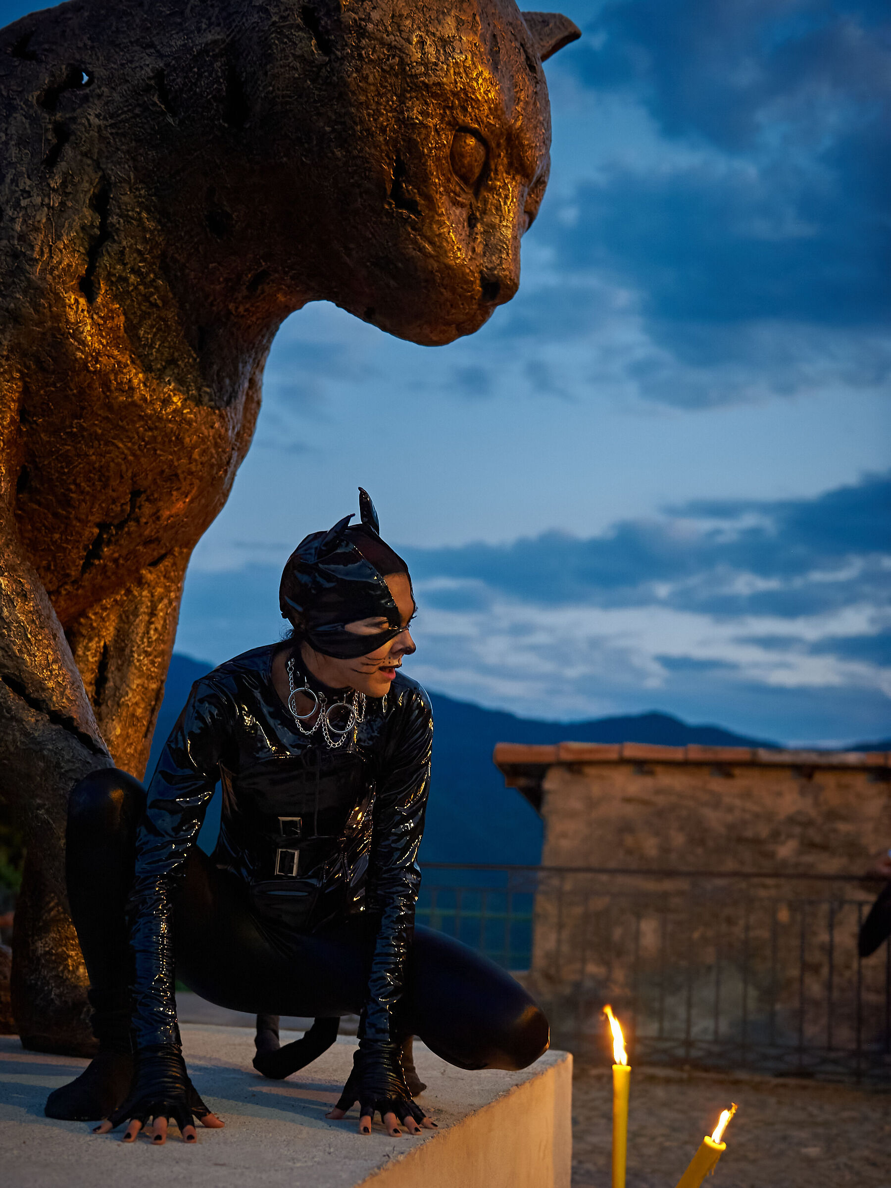 Gatte al tramonto...