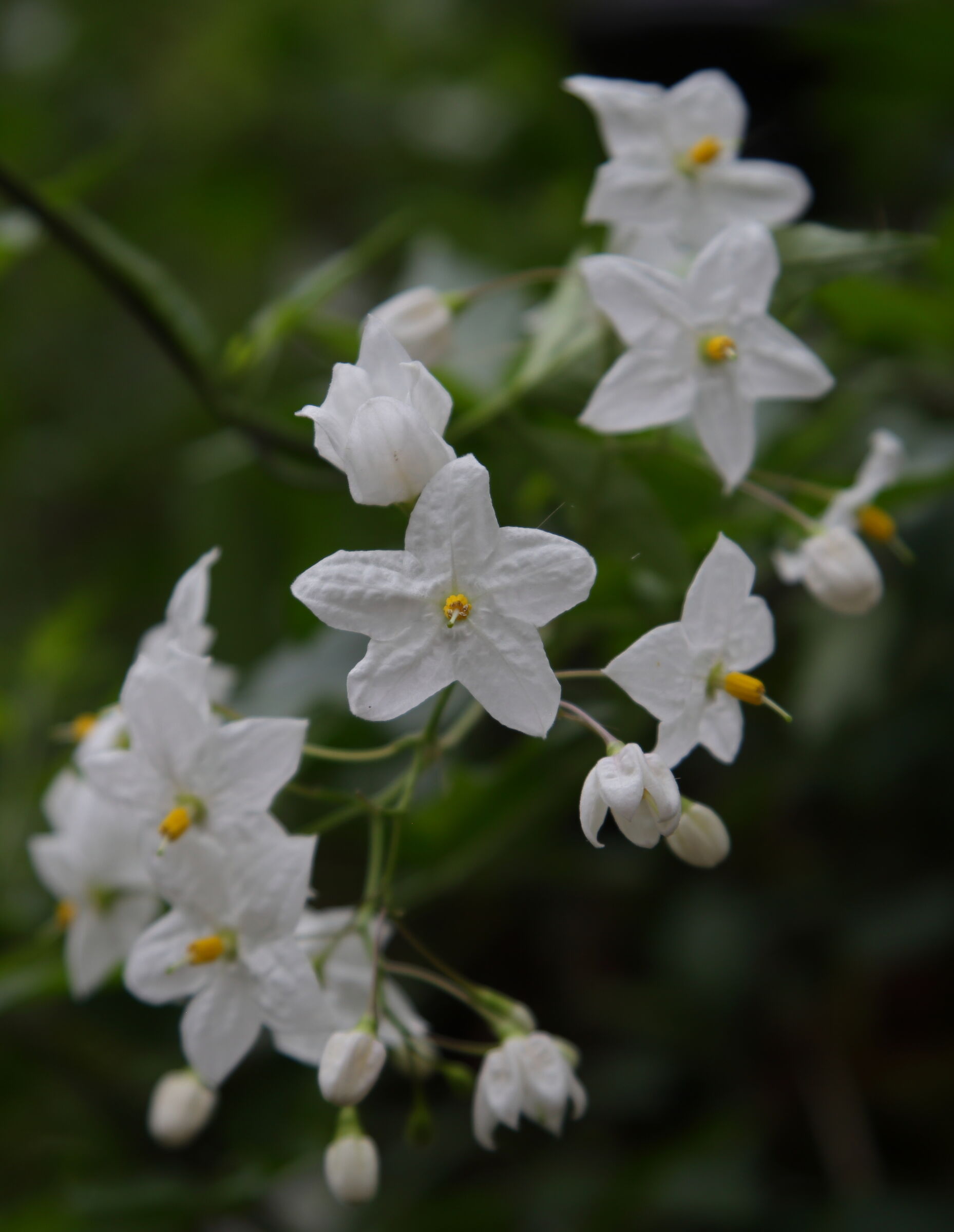 Untitled Photo