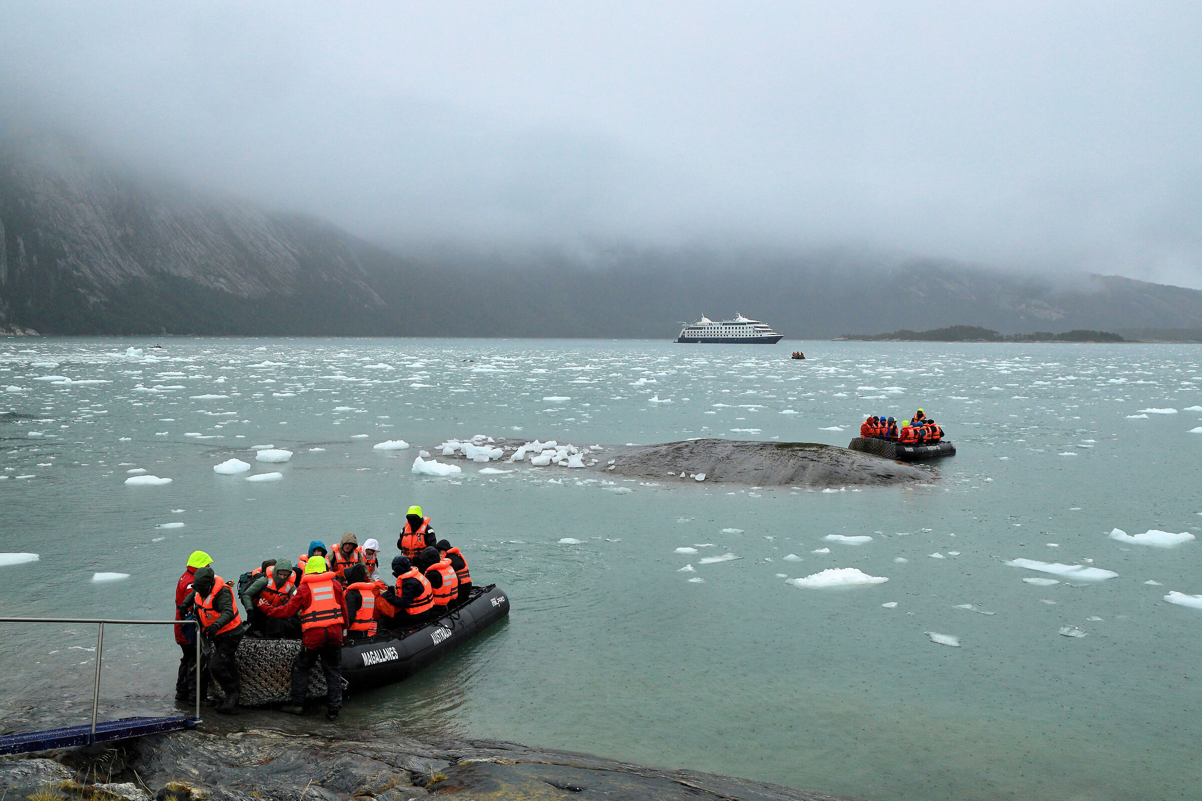 Pia Patagonia Glacier