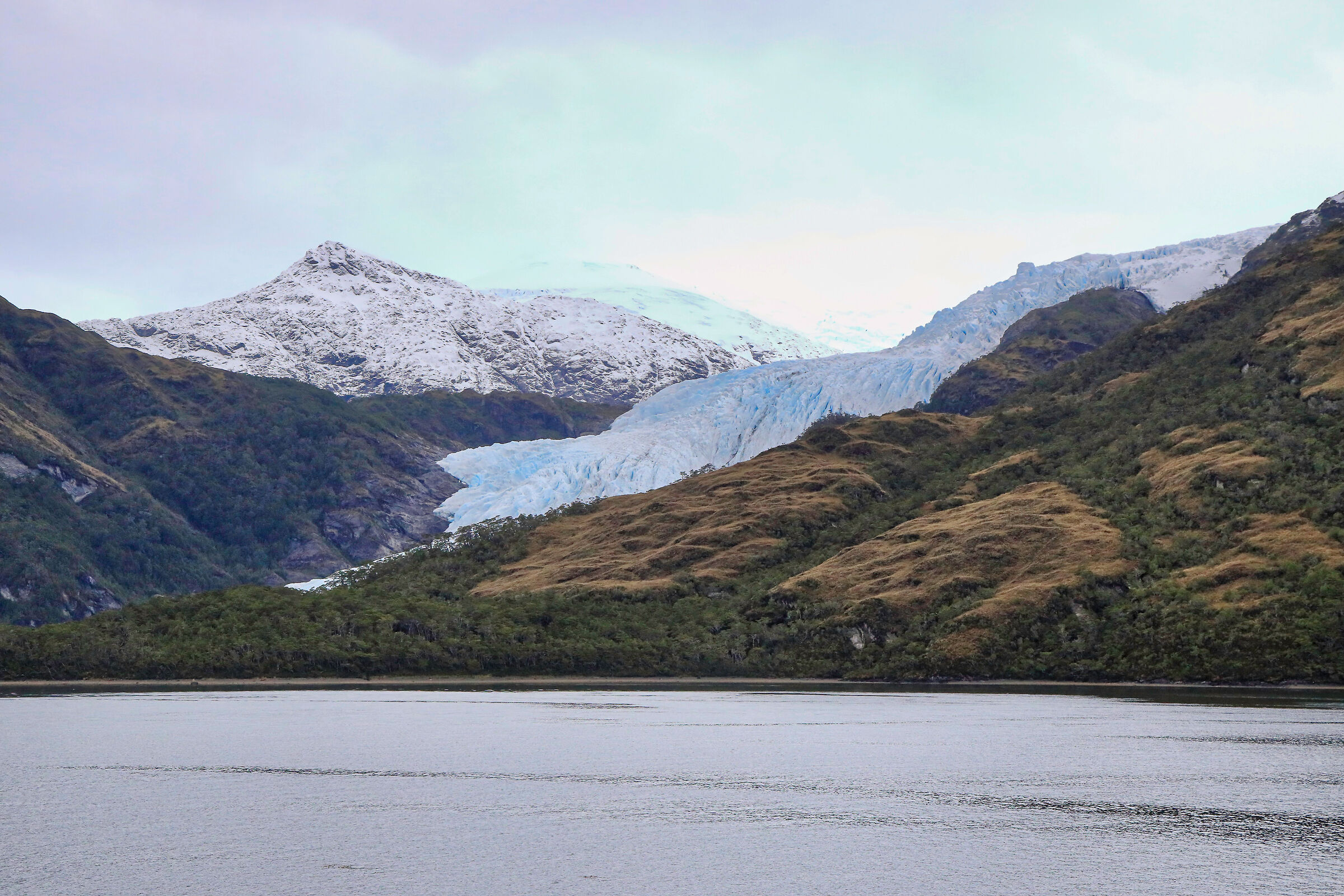 Condor Patagonia Glacier