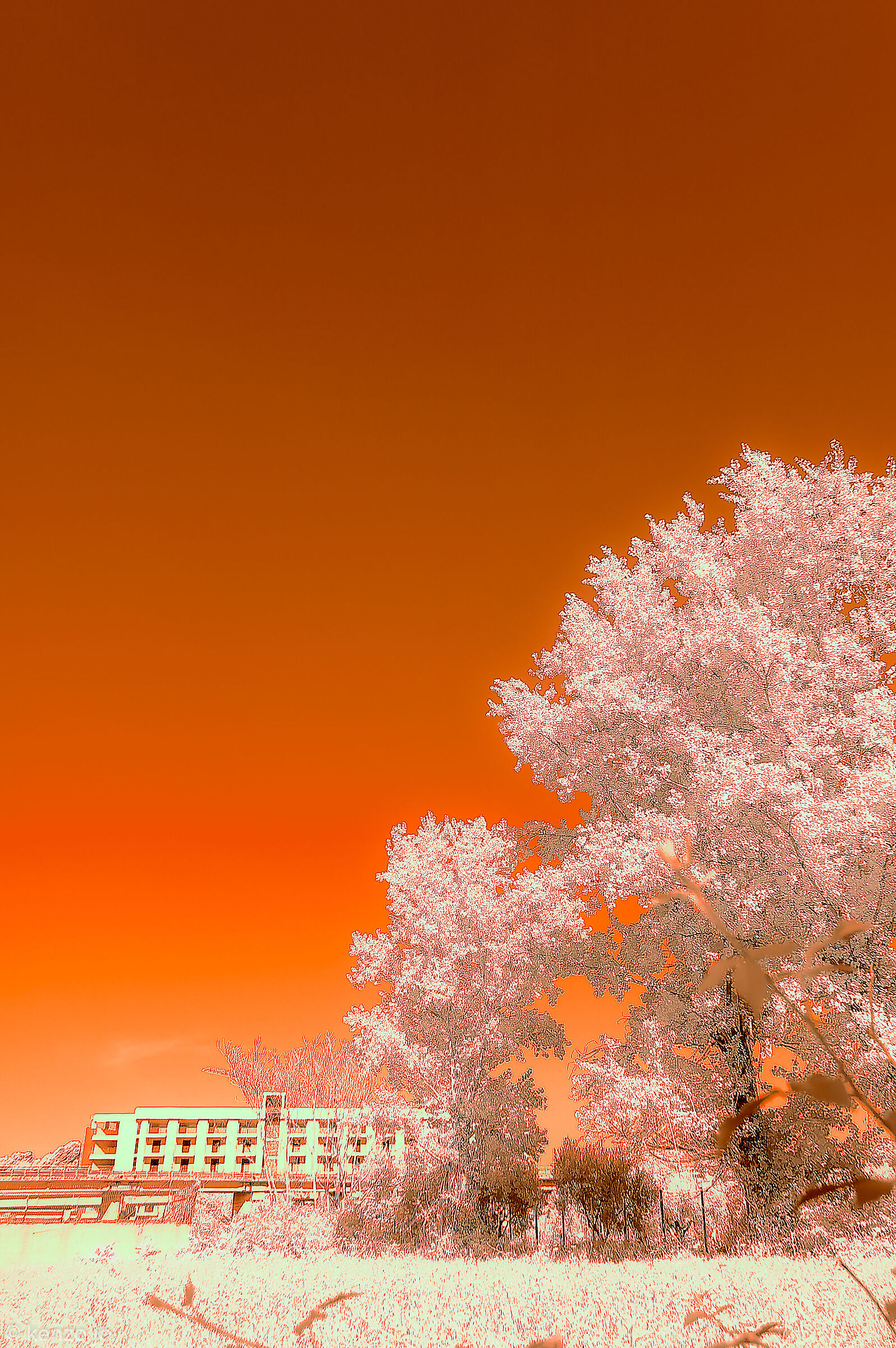 Untitled Photo