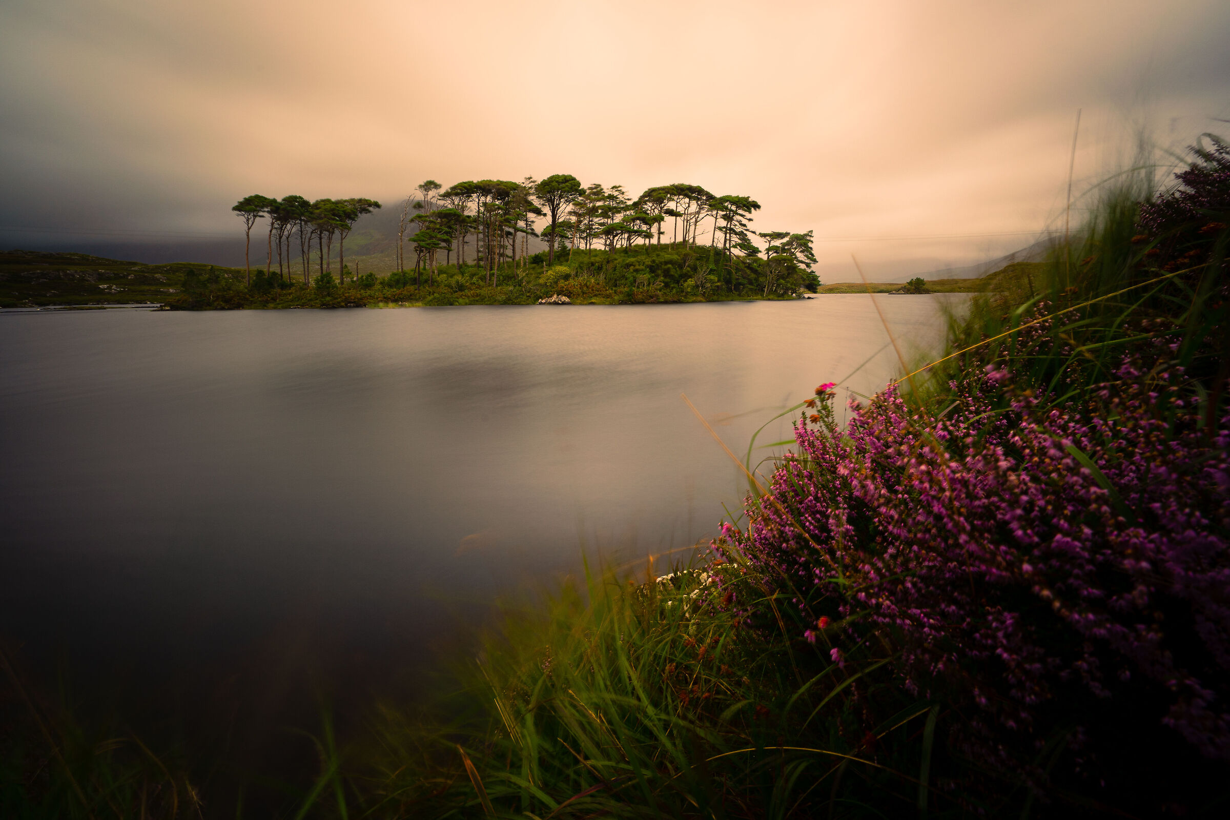 Pine island