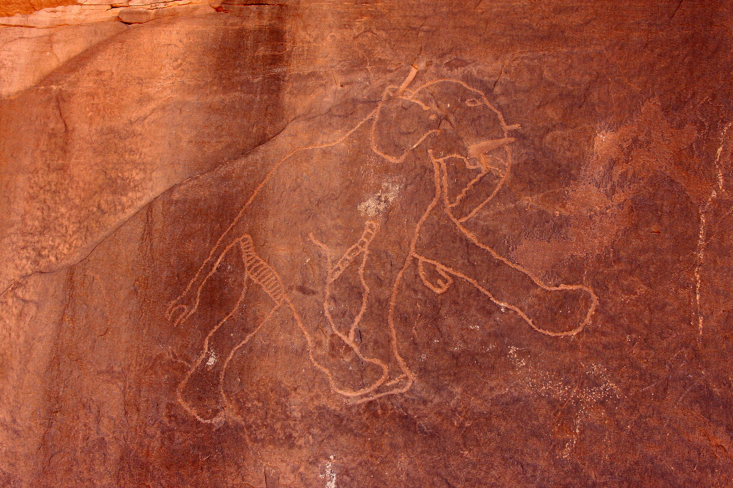 Incisioni rupestri - Acacus - Libia