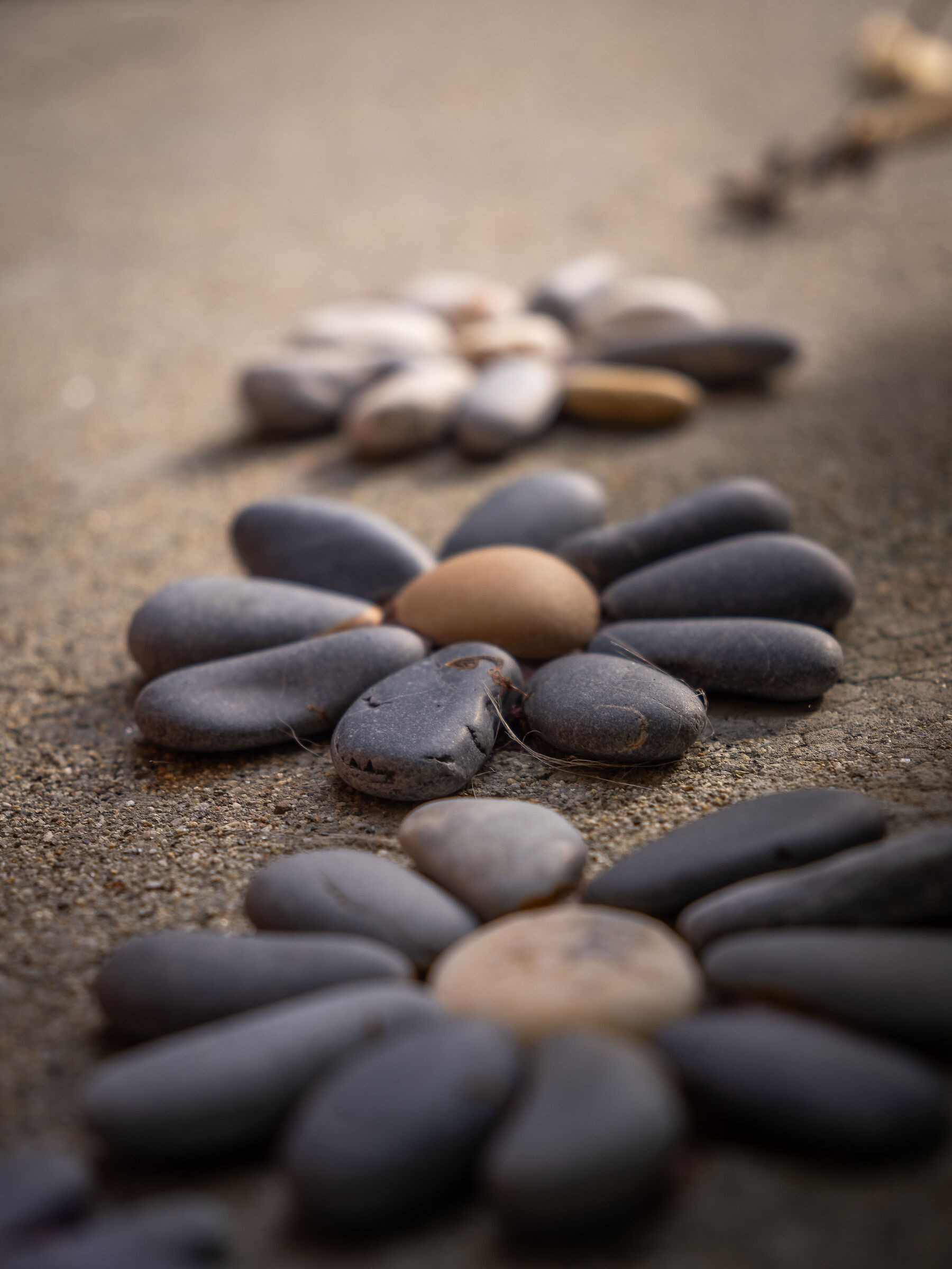 Flowers of stones