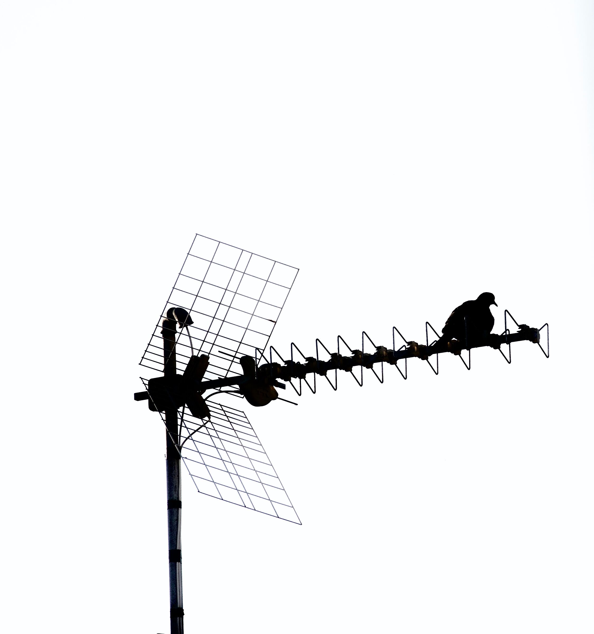 Tele +