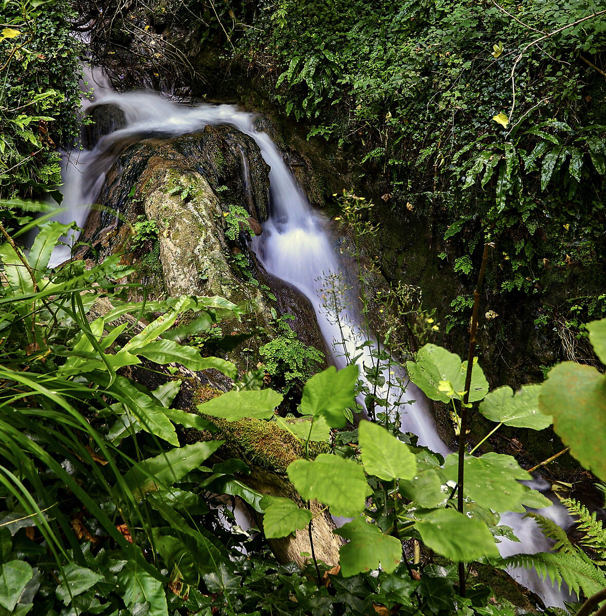 Il fiume Vuglio