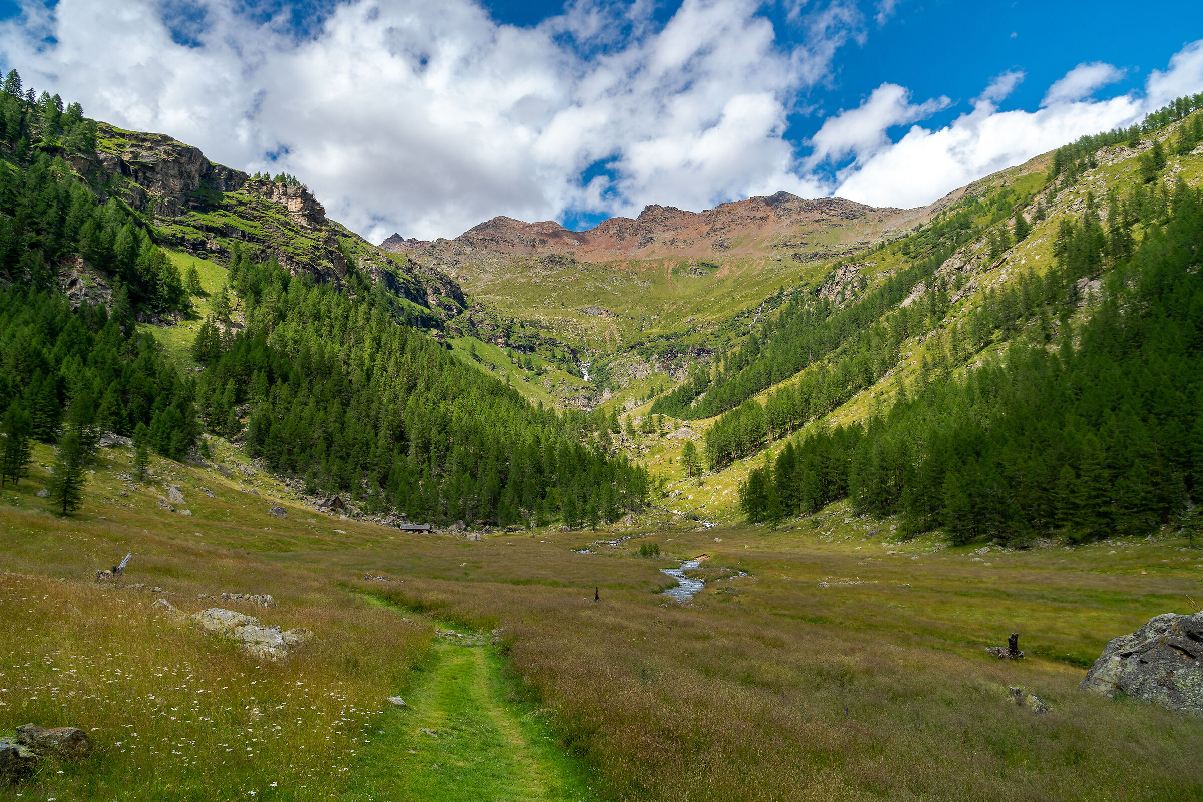 Verso Malga Pra di Saènt