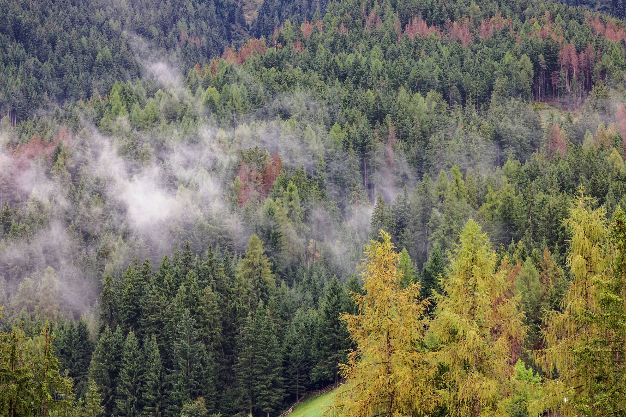 Rainy day in Dolomites
