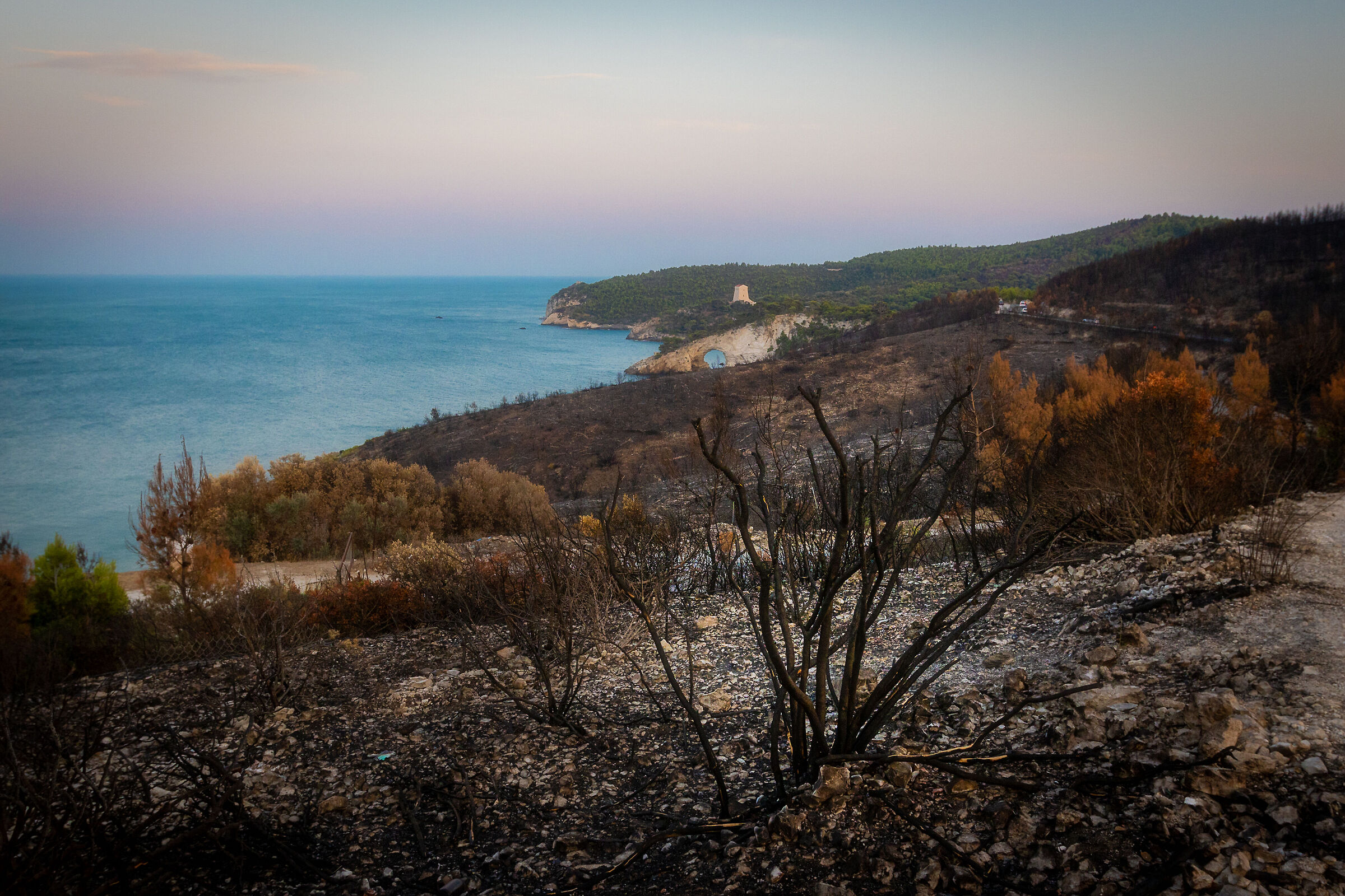Dopo l'incendio, Vieste (Fg)