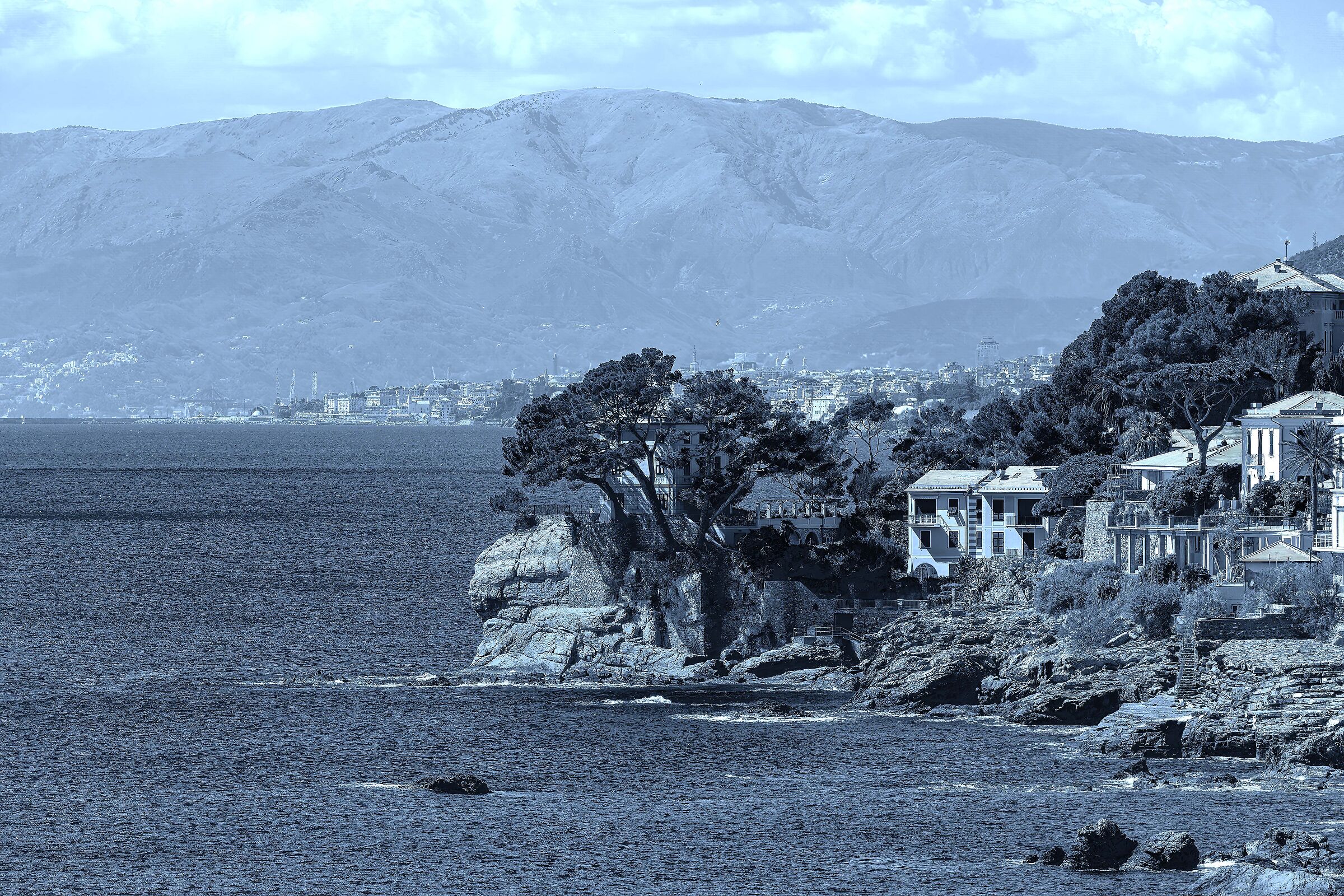 "We, who have seen Genoa"