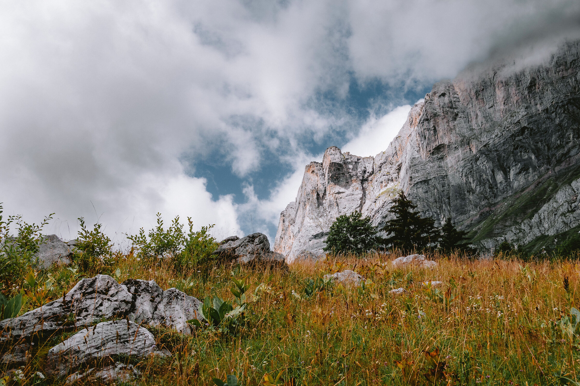 Alpes